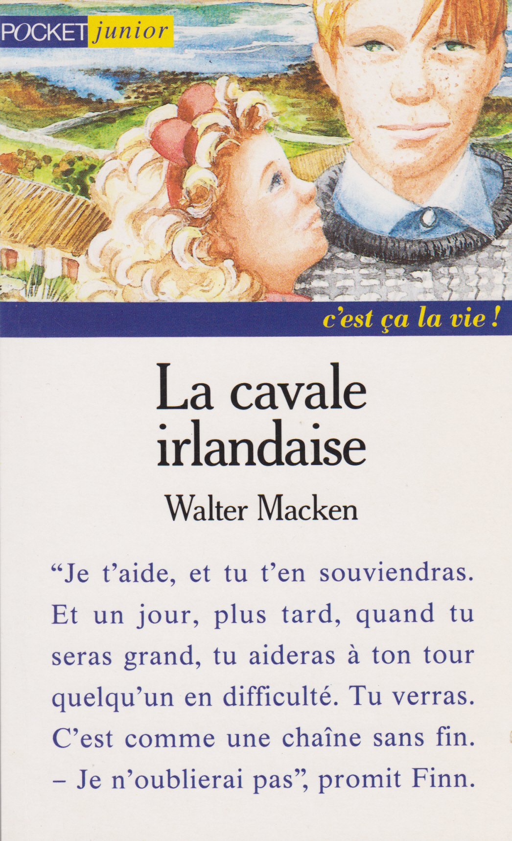 La cavale irlandaise 9782266058520