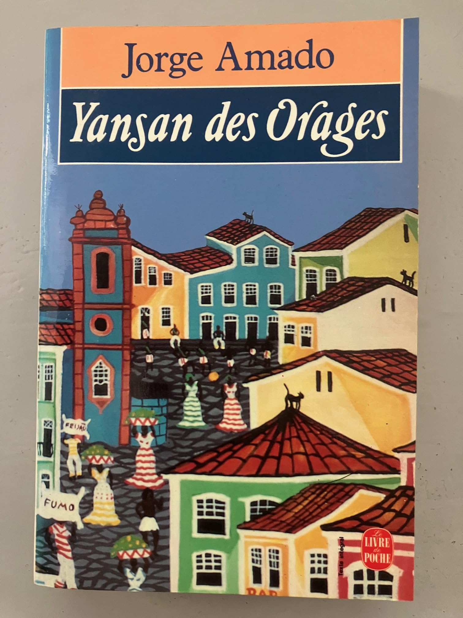 Yansan des orages: Une histoire de sorcellerie, roman bahianais 9782253056973