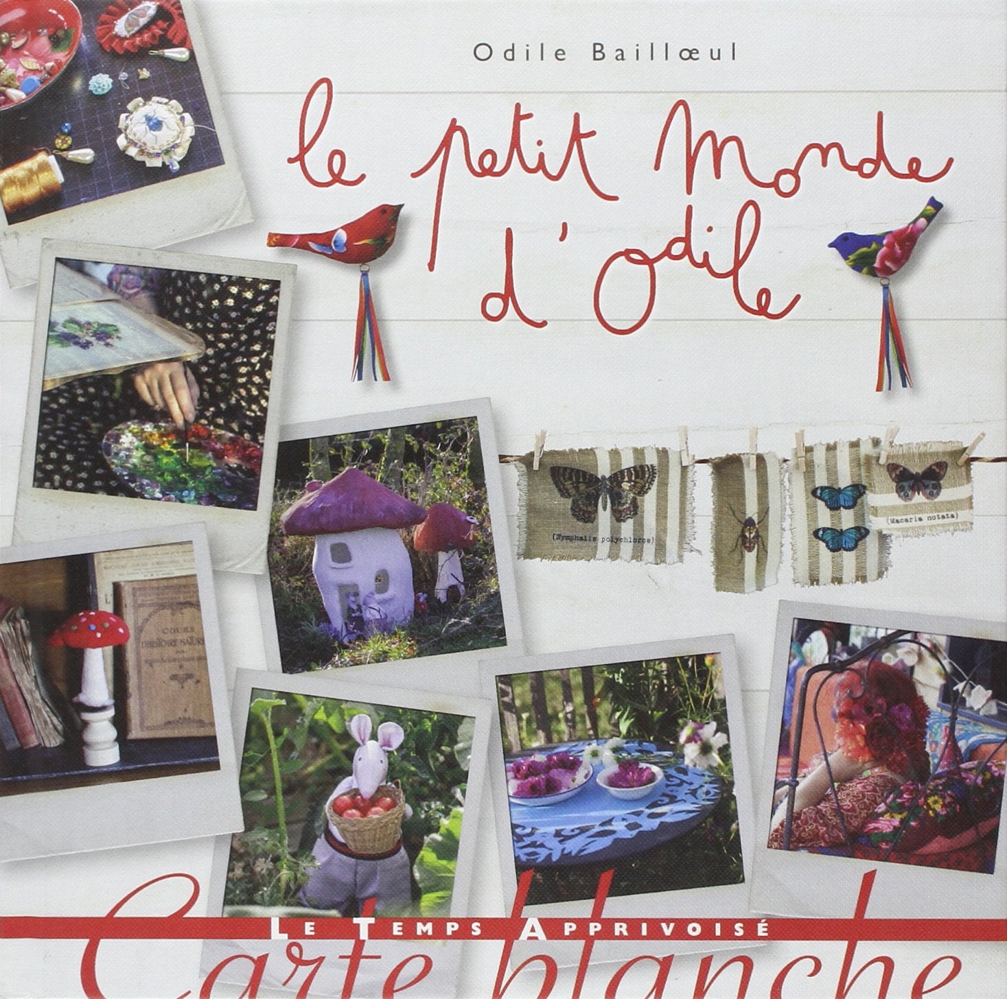 Le petit monde d'Odile 9782299002347