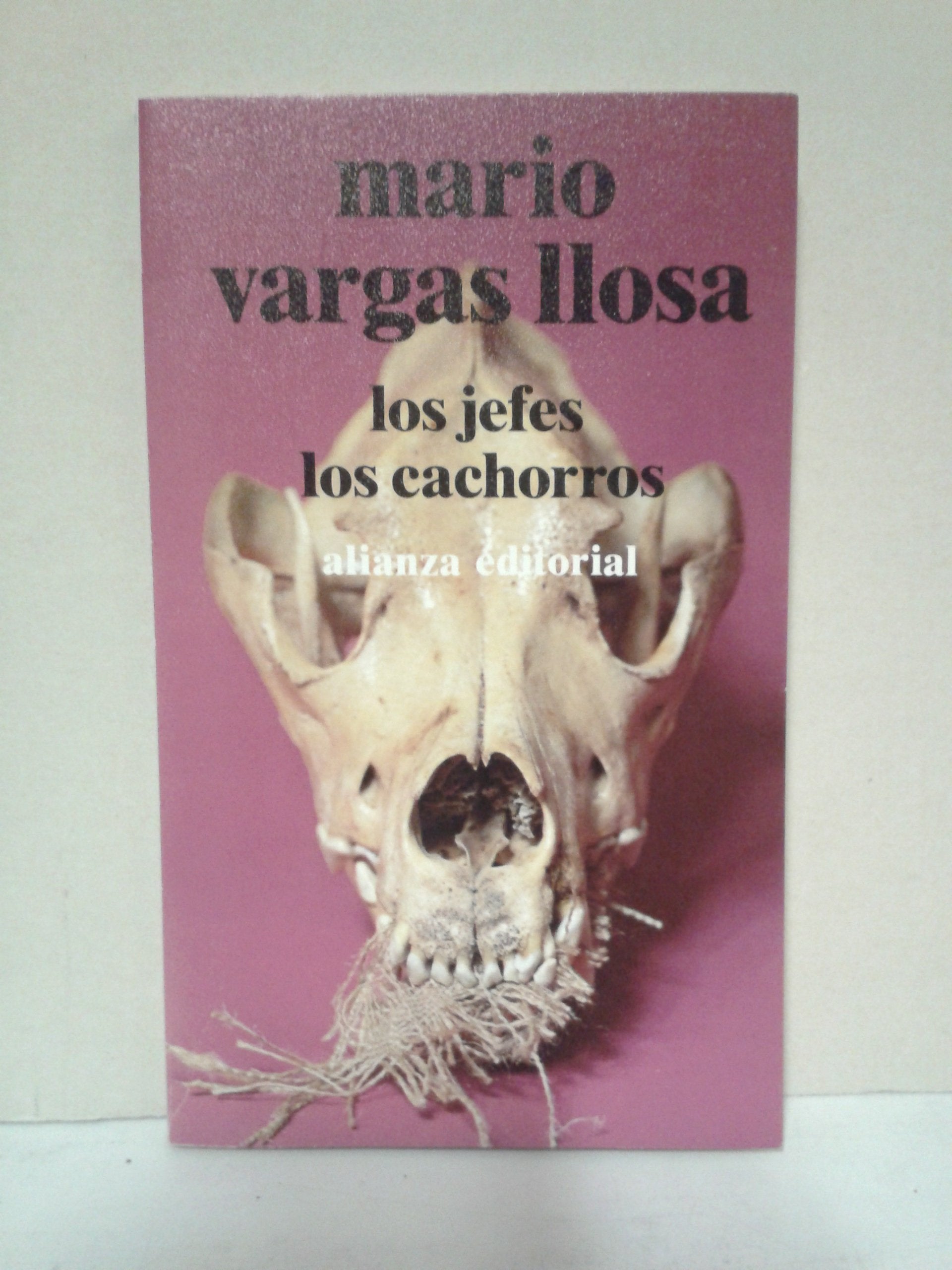 LosJefes, los Cochorros 9788420617008