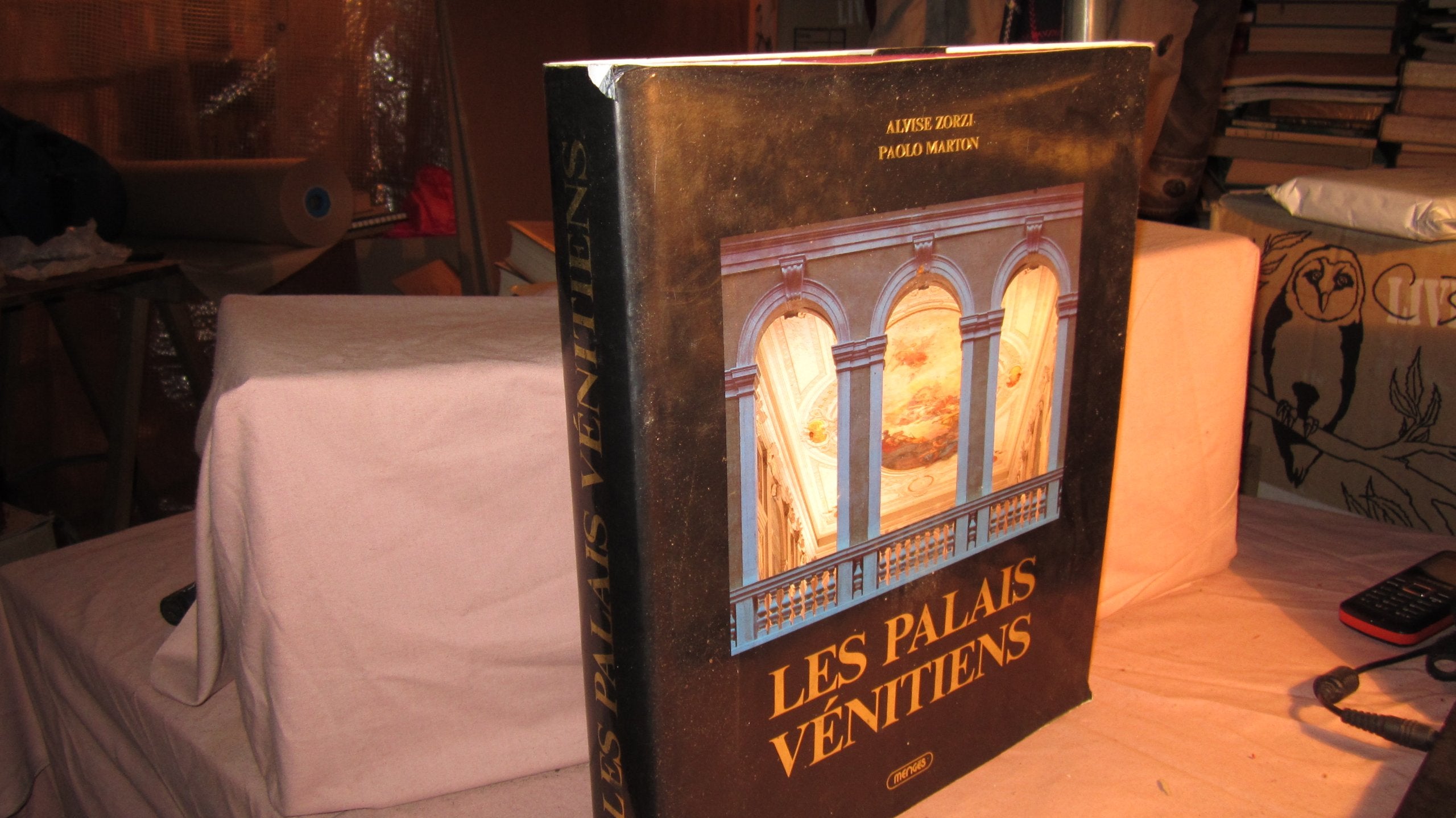 Les palais venitiens 9782856202982