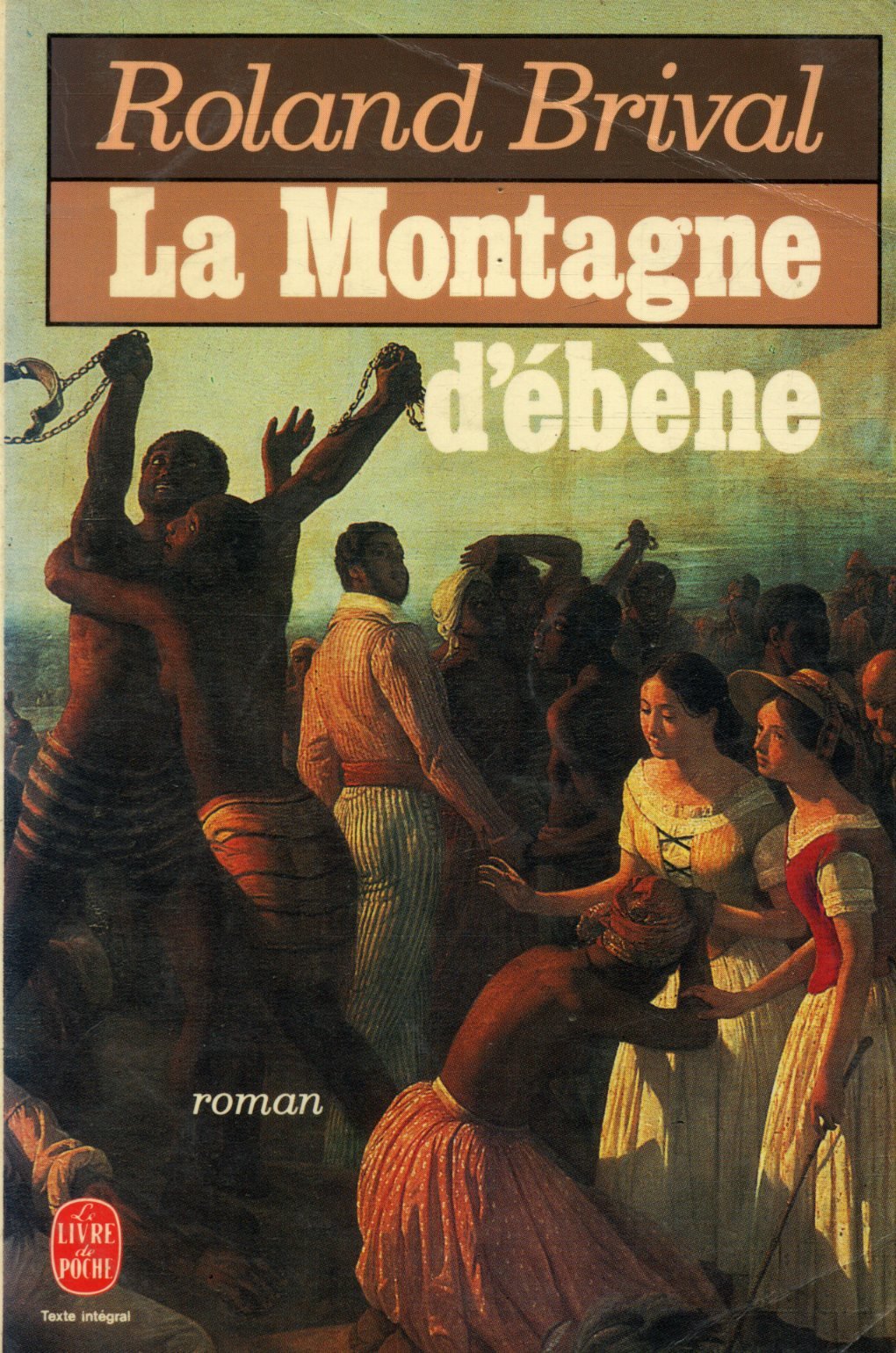 La montagne d'ebene 9782253036685