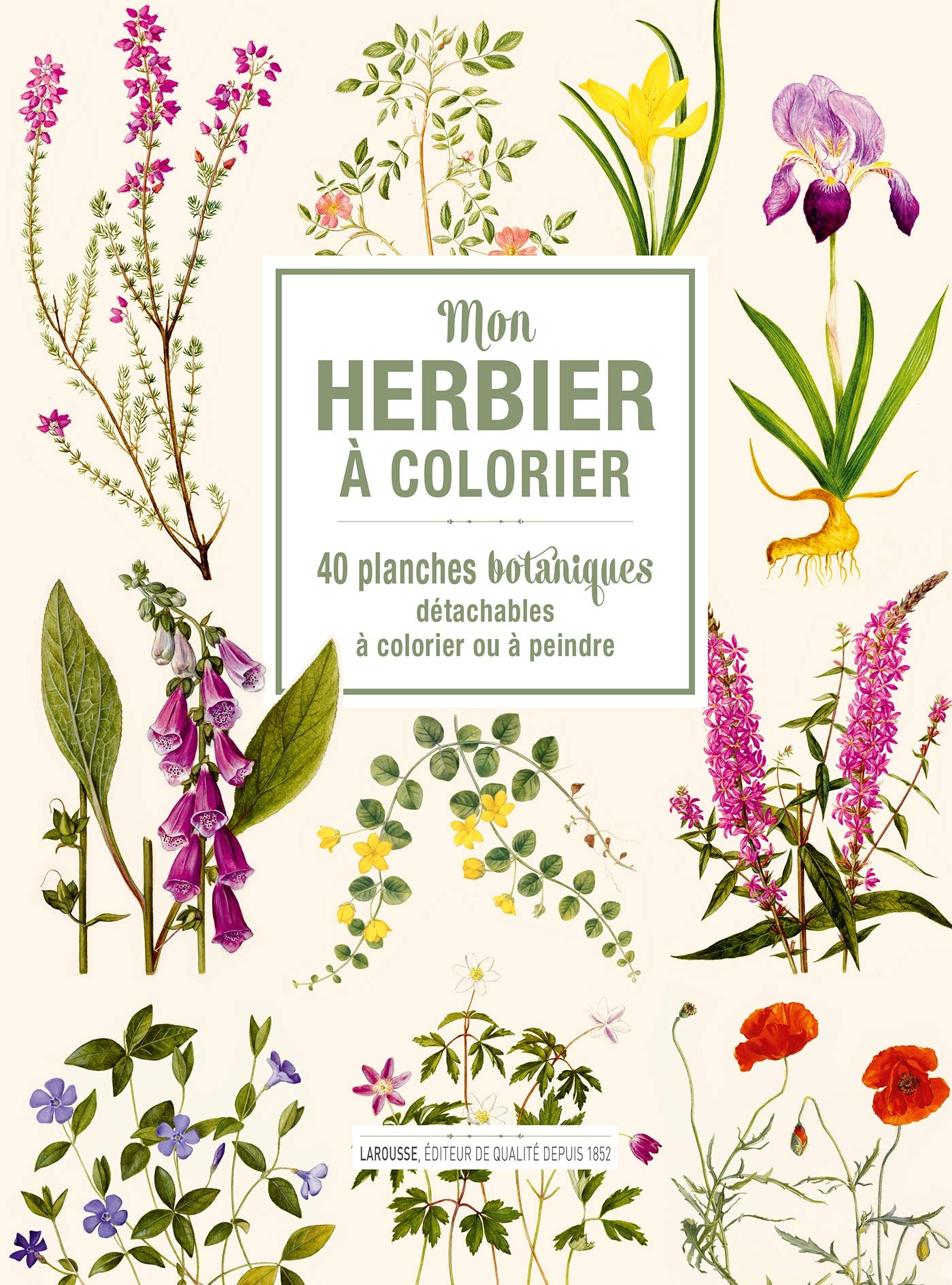 Mon herbier à colorier: 40 planches botaniques détachables à colorier ou à peindre 9782295013590