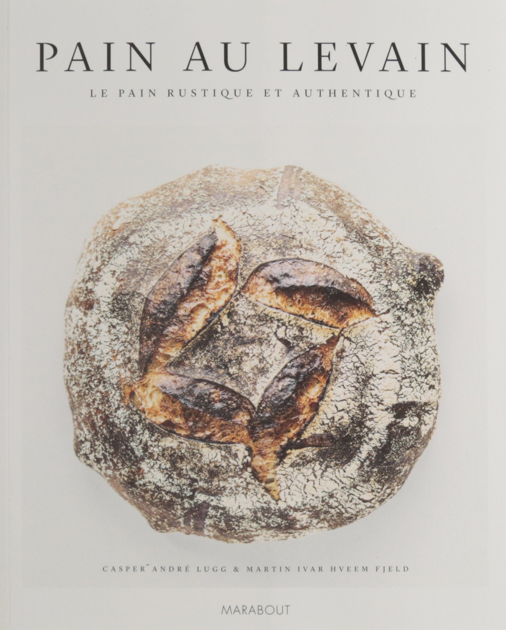 Pains au levain naturel 9782501120623