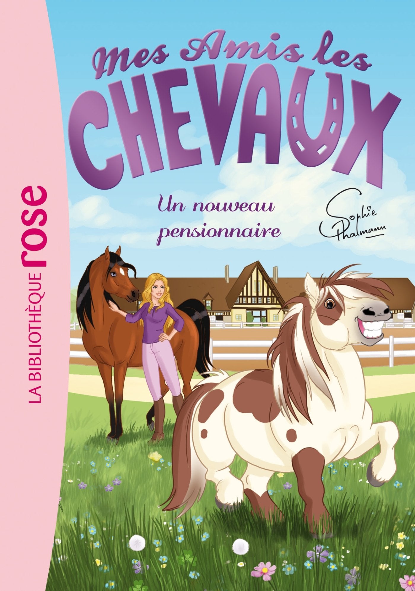 Mes amis les chevaux, tome 1 : Un nouveau pensionnaire 9782012036741