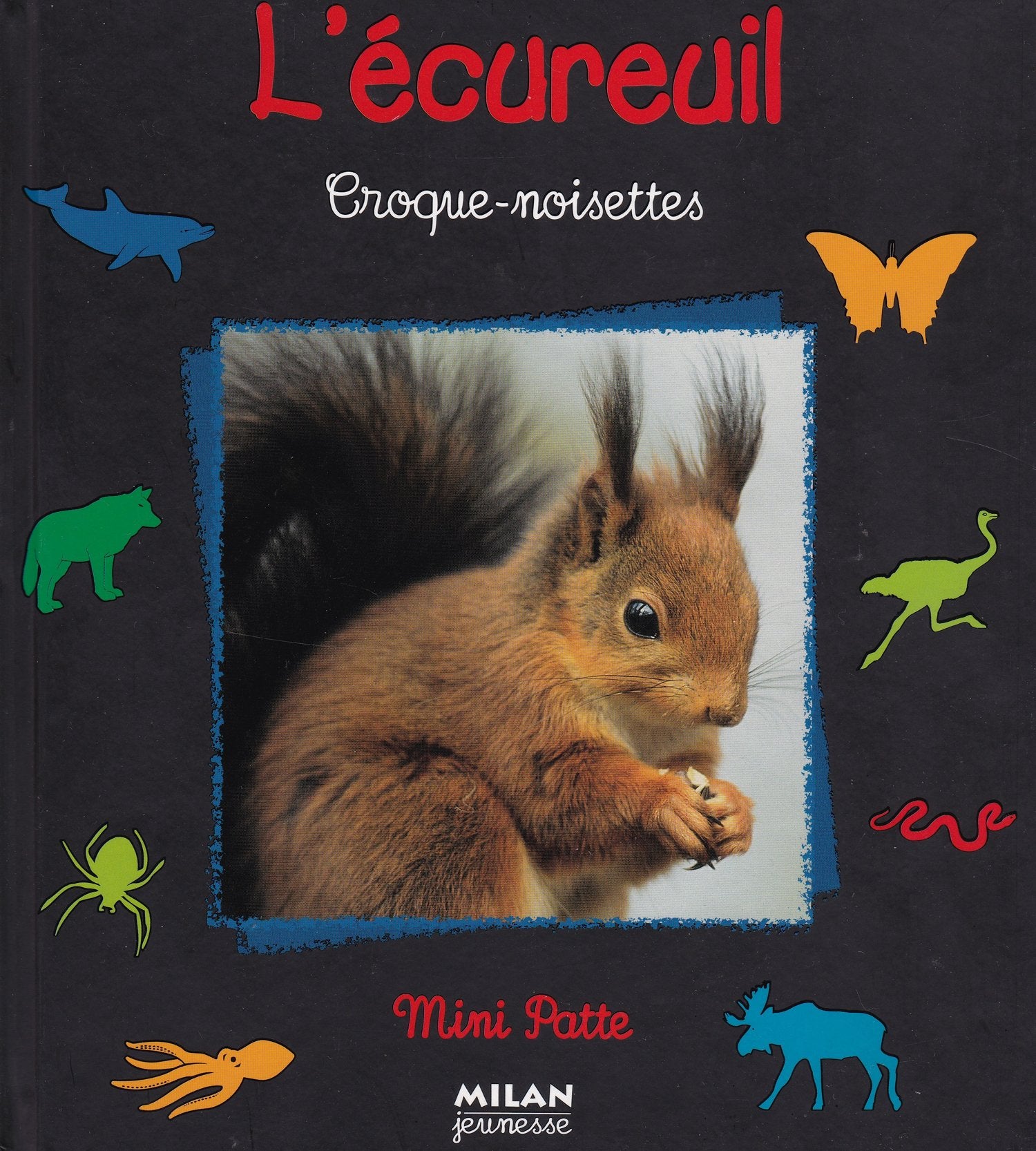 L'Ecureuil : Croque-noisettes 9782745905871