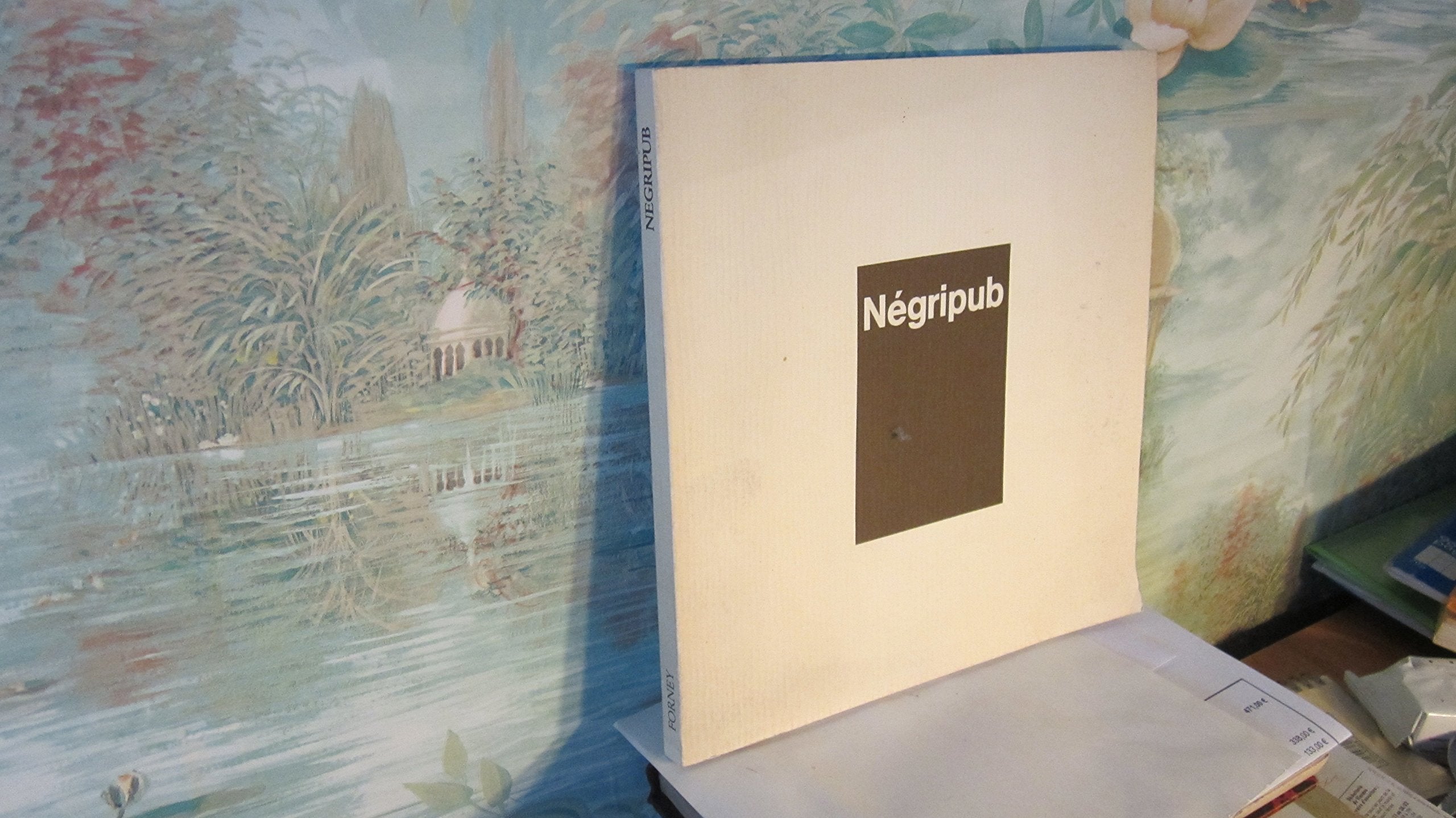 Négripub : L'image des noirs dans la publicité depuis un siècle 9782701205809