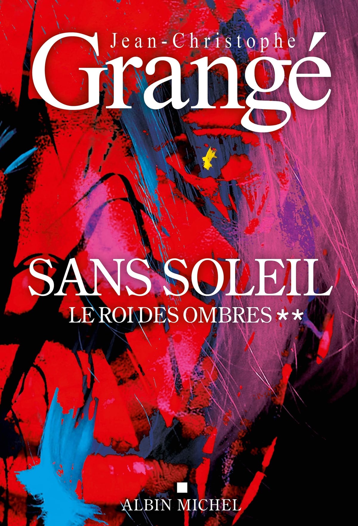 Sans soleil - tome 2 - Le Roi des ombres 9782226480804