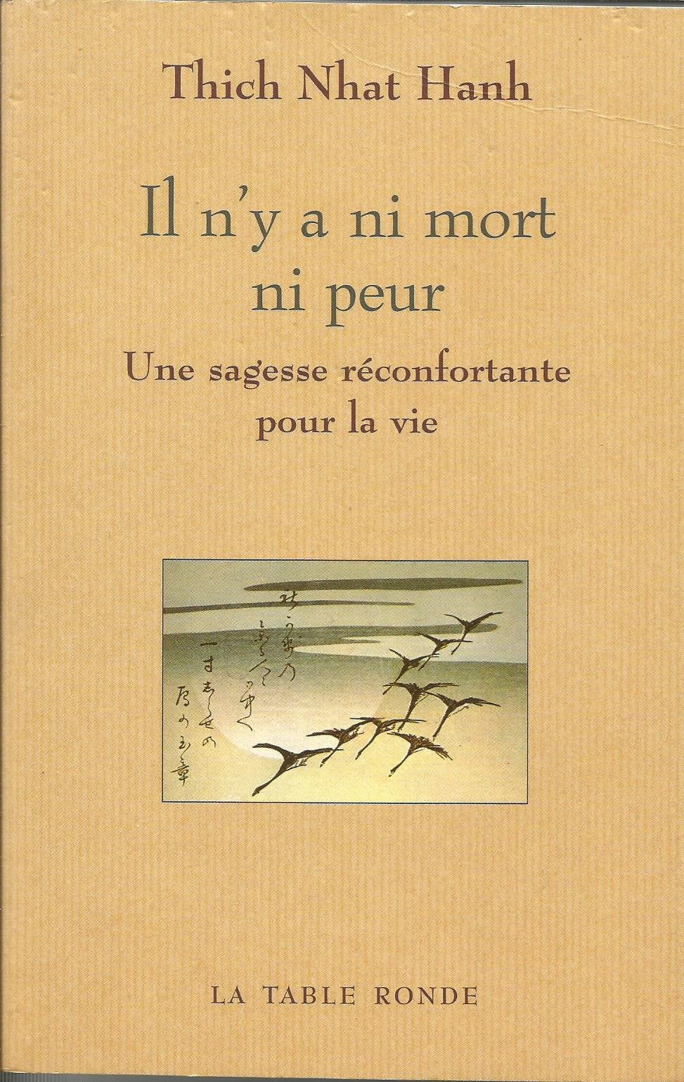 Il n'y a ni mort ni peur: Une sagesse réconfortante pour la vie 9782710326311