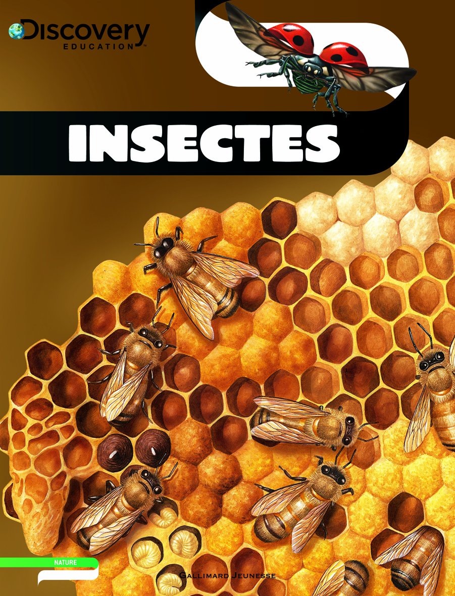 Insectes 9782070644544