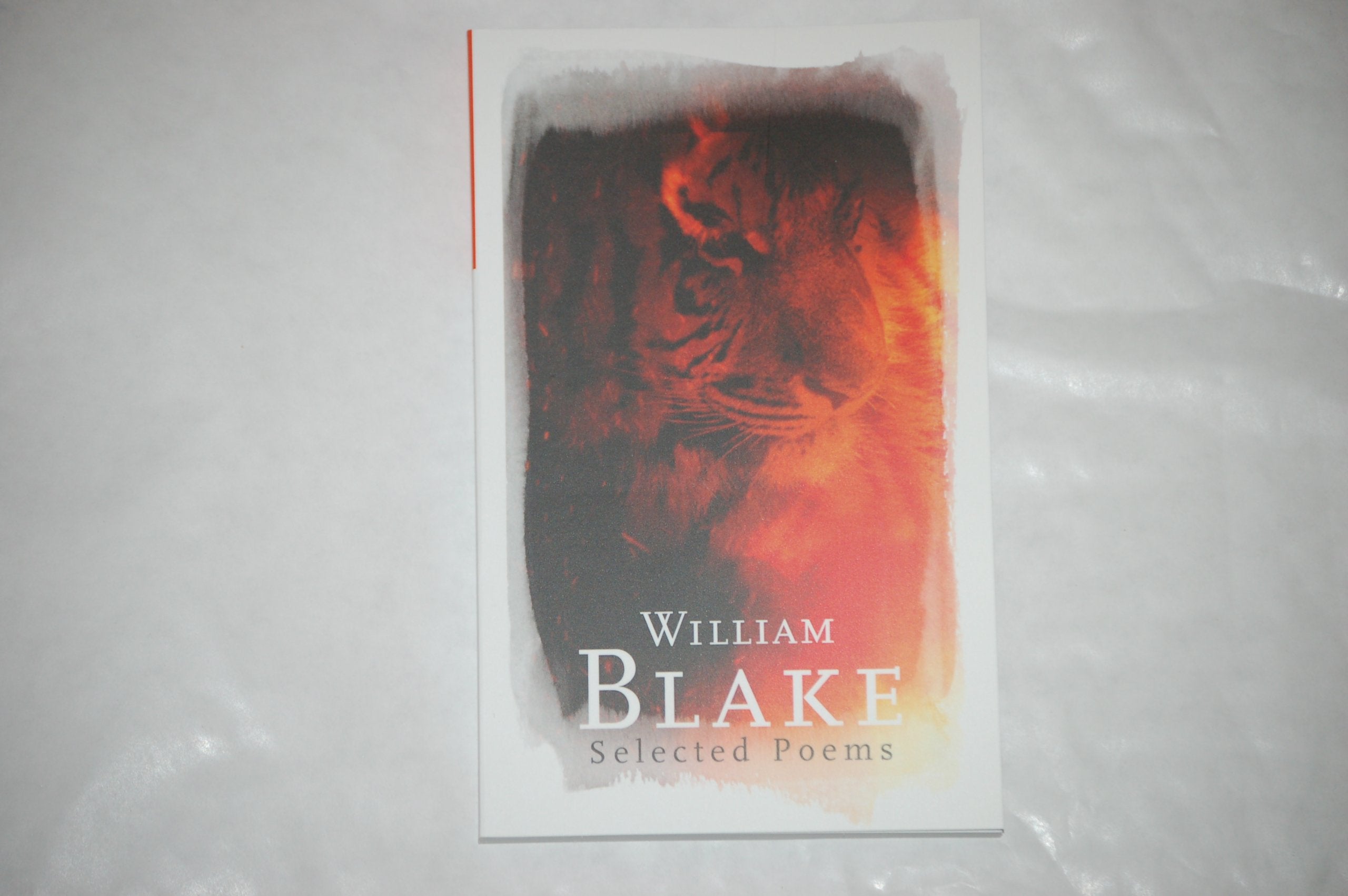 William Blake Selected Poems (Phoenix Poetry) 9781407221366