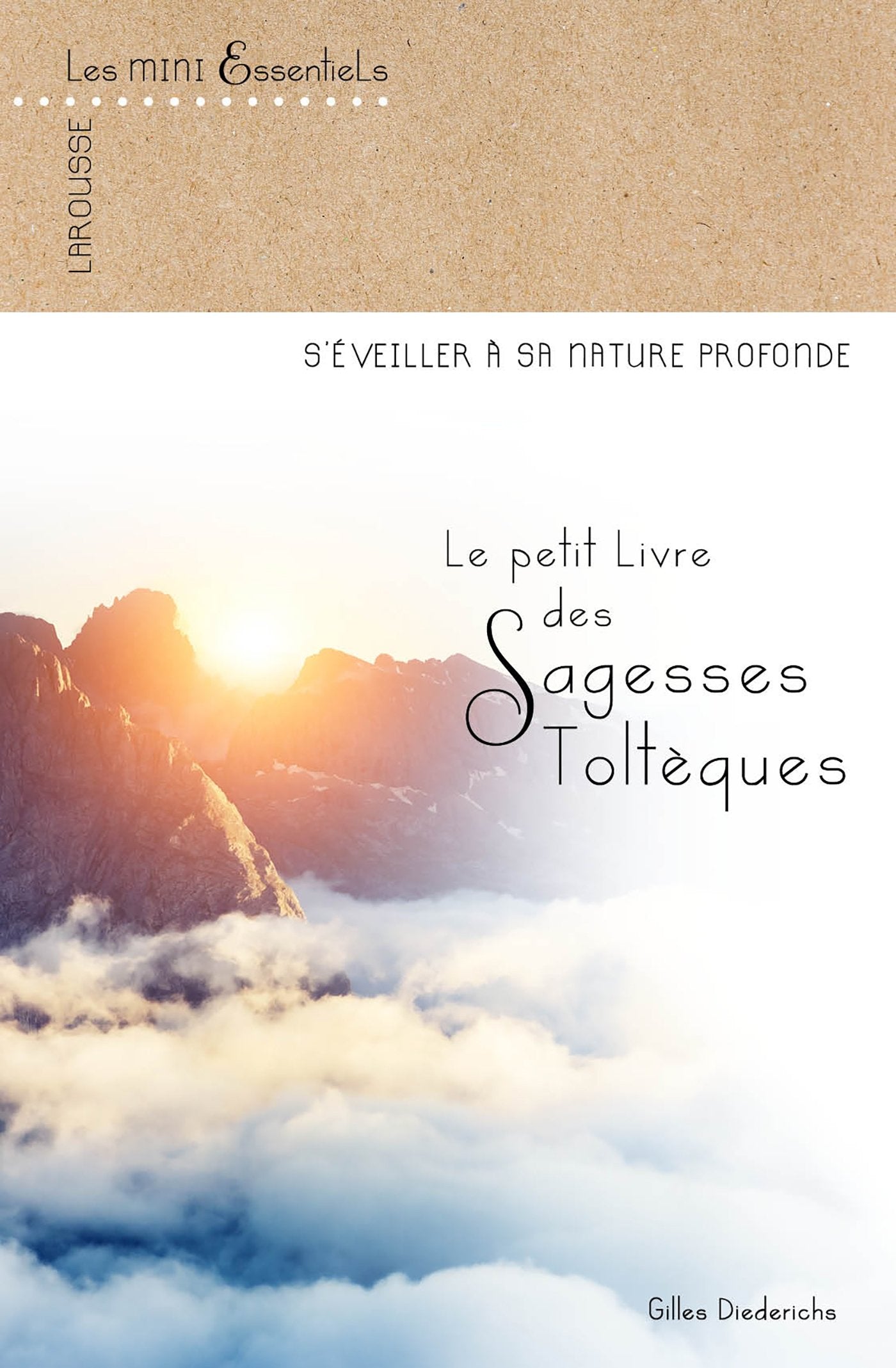 Le petit livre des sagesses toltèques 9782035953001
