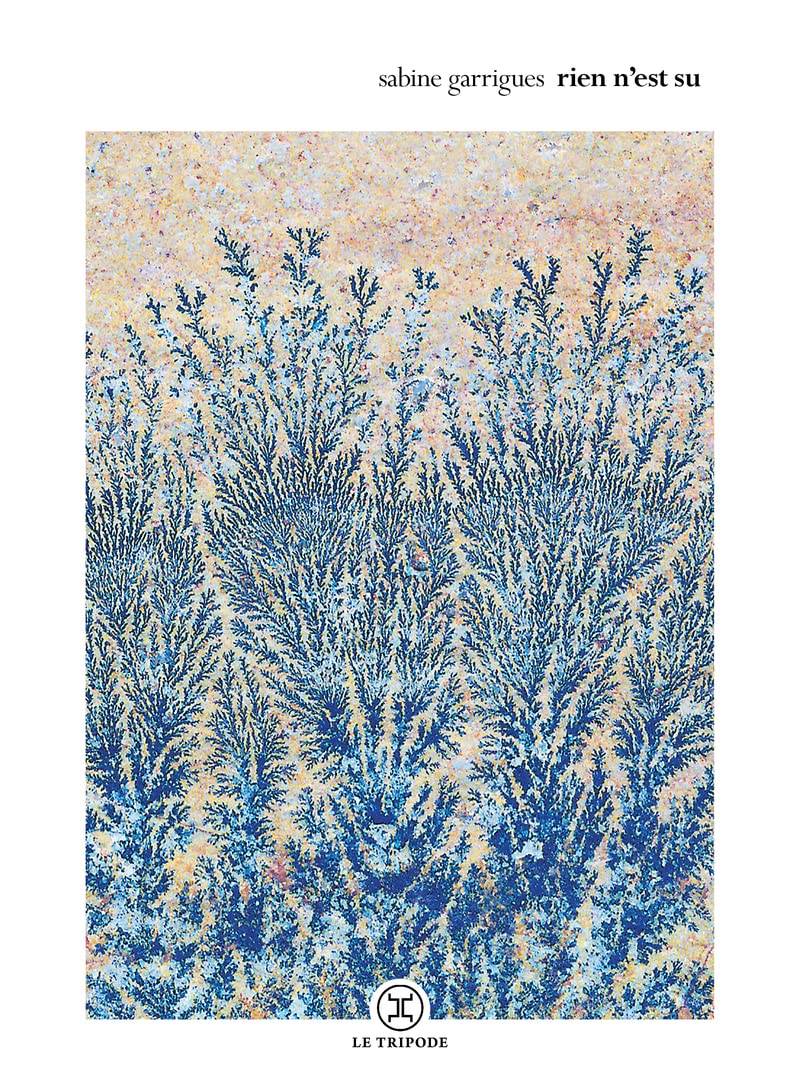 Rien n'est su 9782370553751