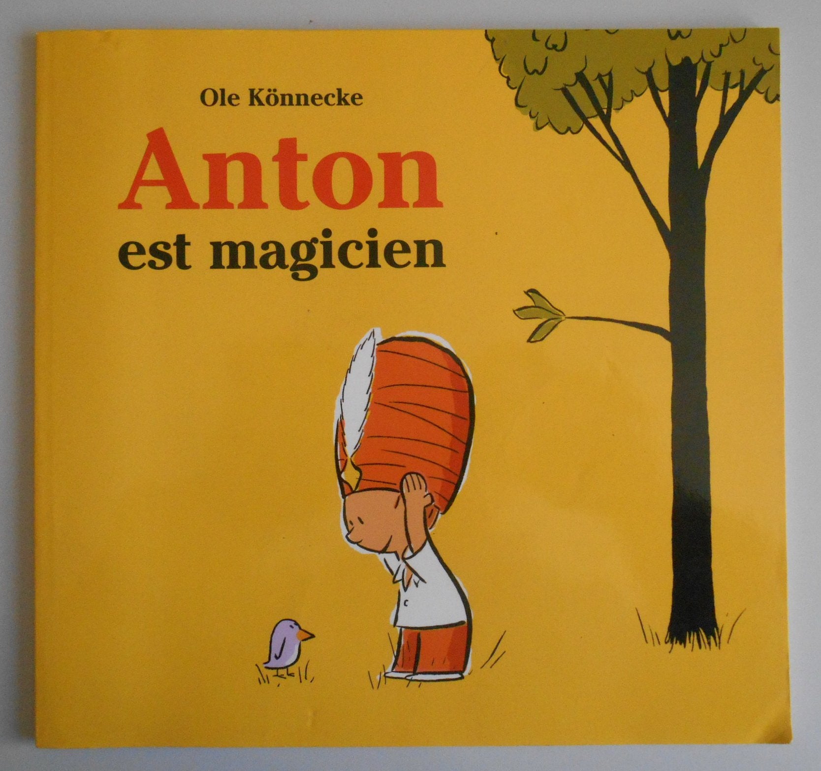Anton est magicien 9782211092319