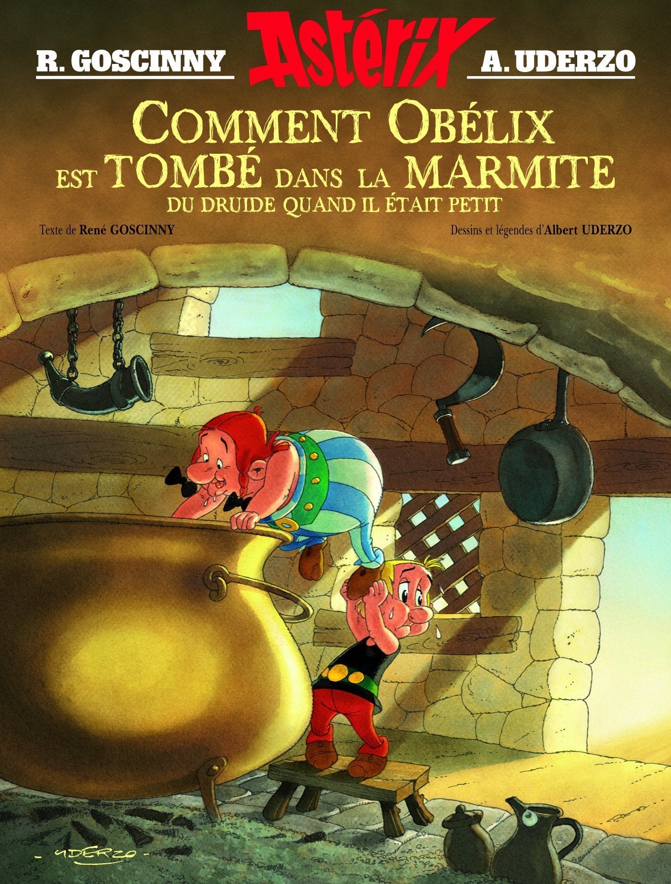 Comment Obélix est tombé dans la marmite du druide quand il était petit 9782864970392
