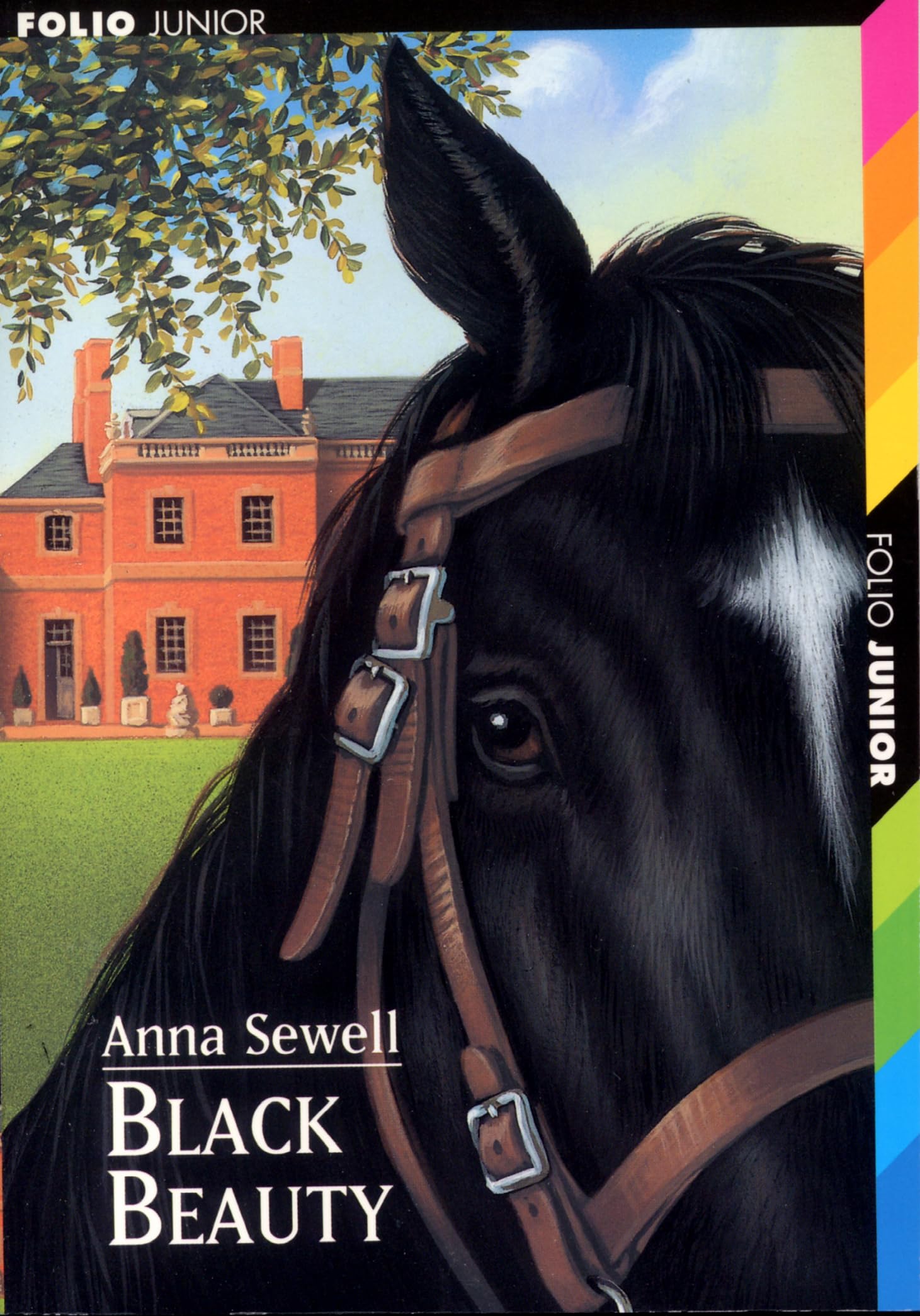 BLACK BEAUTY 9782070516247
