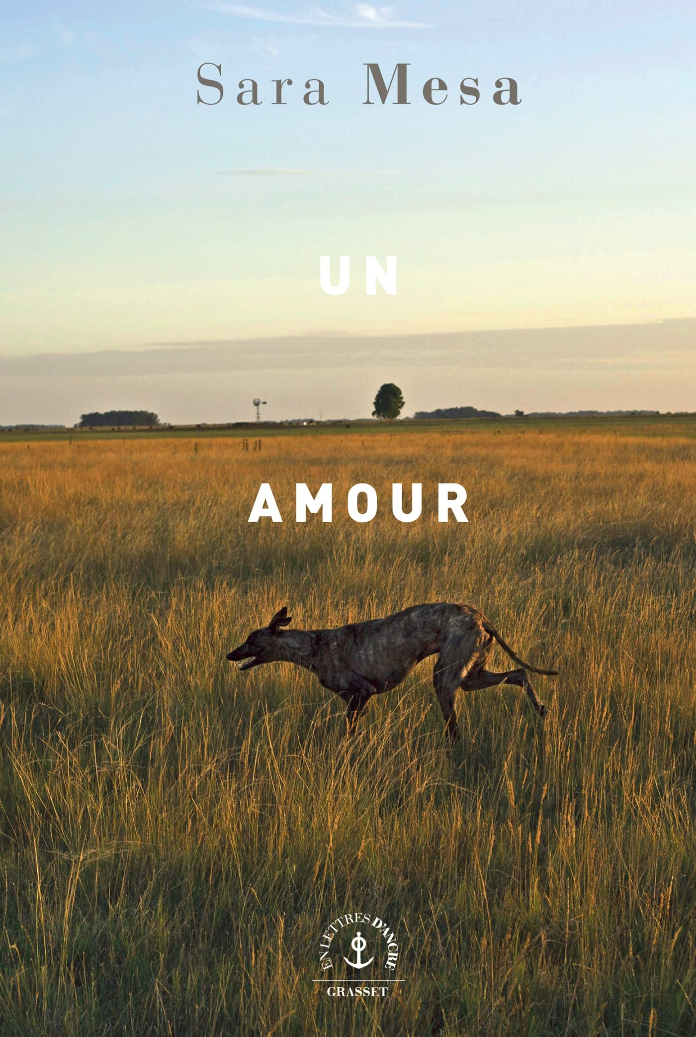 Un amour 9782246824657