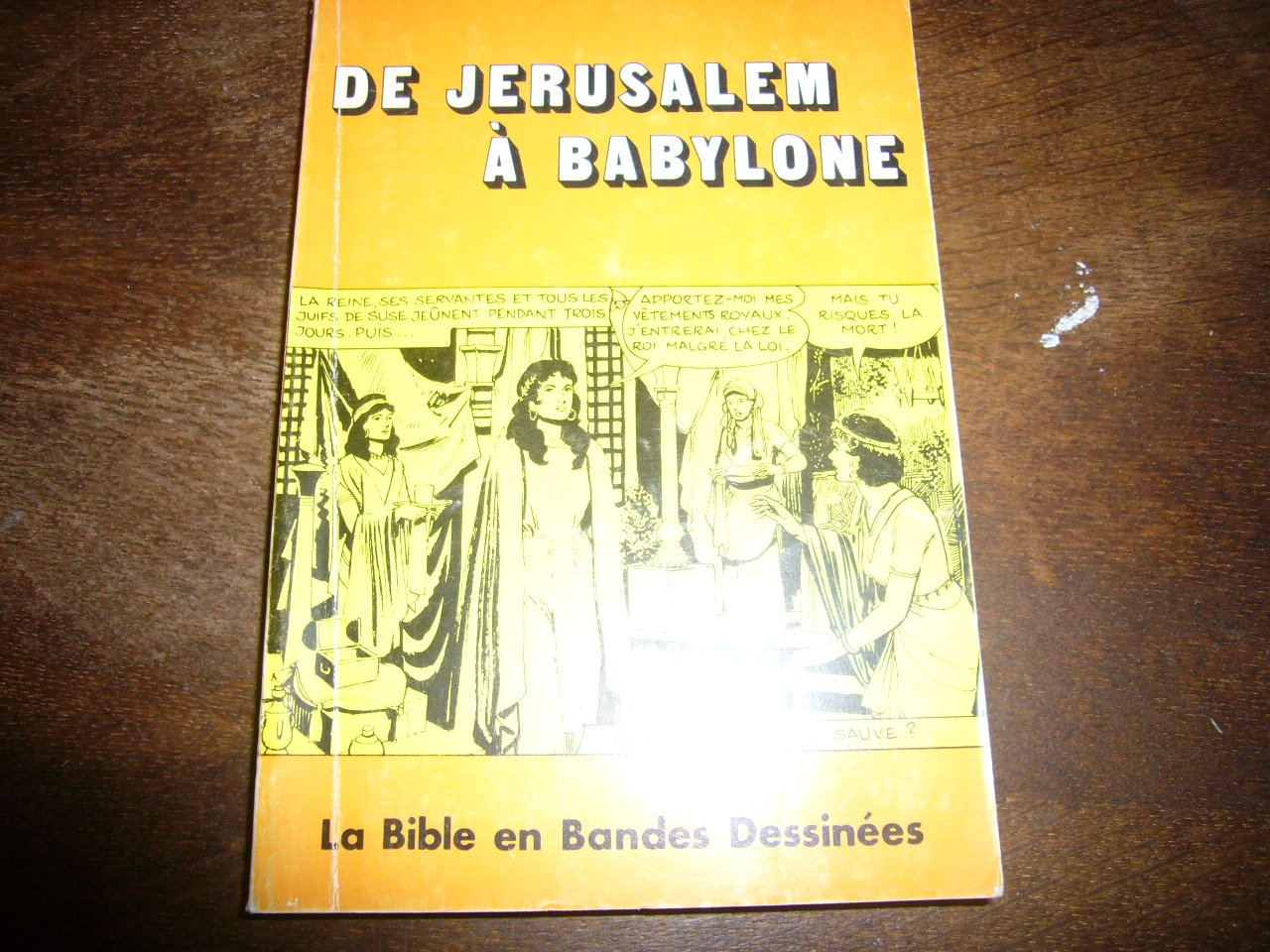De Jérusalem à Babylone : I Rois à Malachie (La Bible en bandes dessinées) 9782850310362