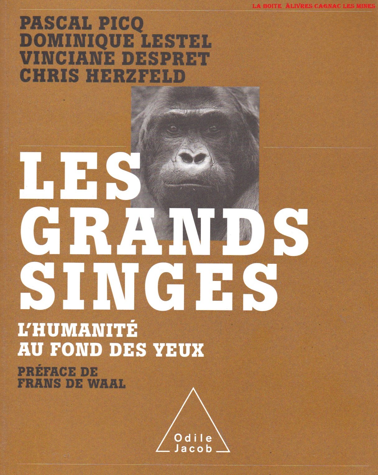 LES GRANDS SINGES 9782738116598