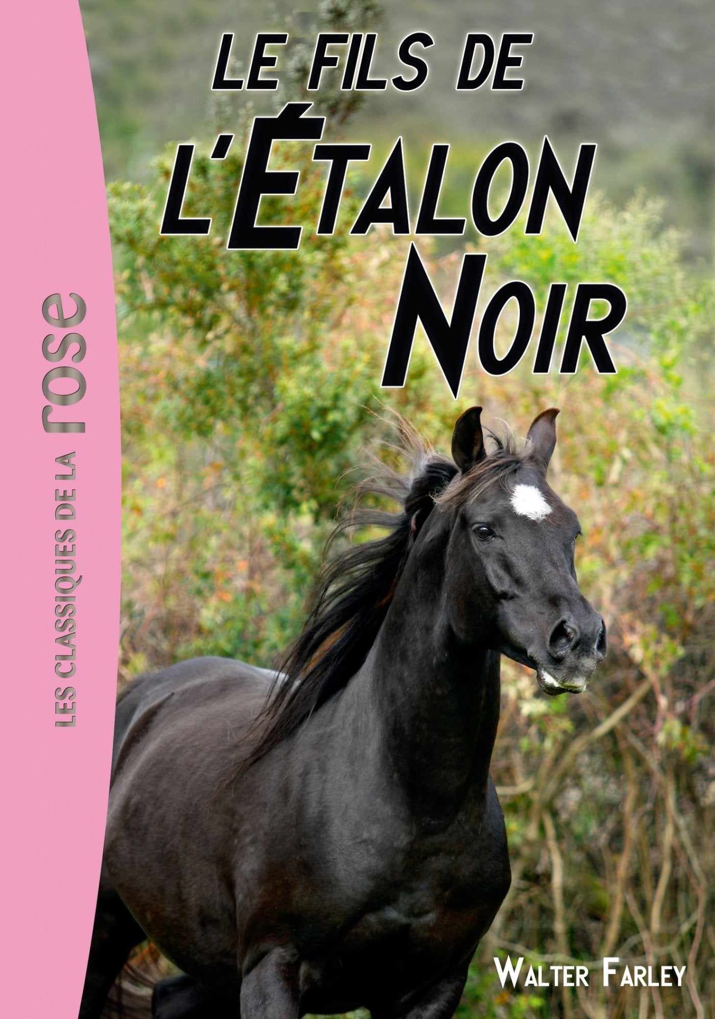 L'Étalon noir 04 - Le fils de l'Étalon Noir 9782012022997