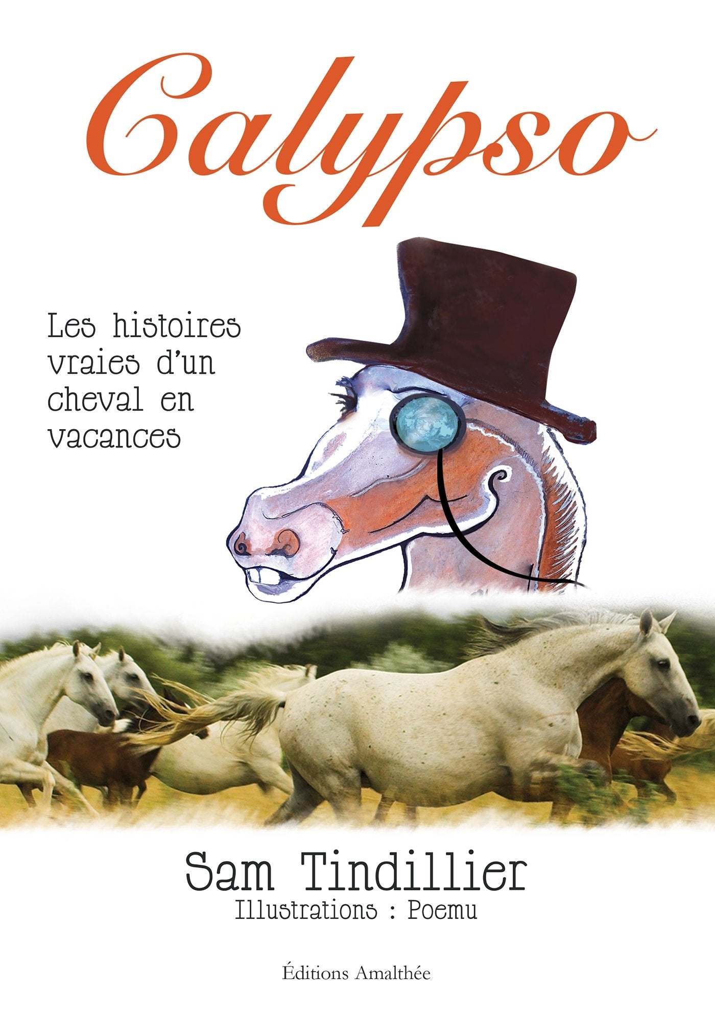 Calypso: Les histoires vraies d'un cheval en vacances 9782310022064
