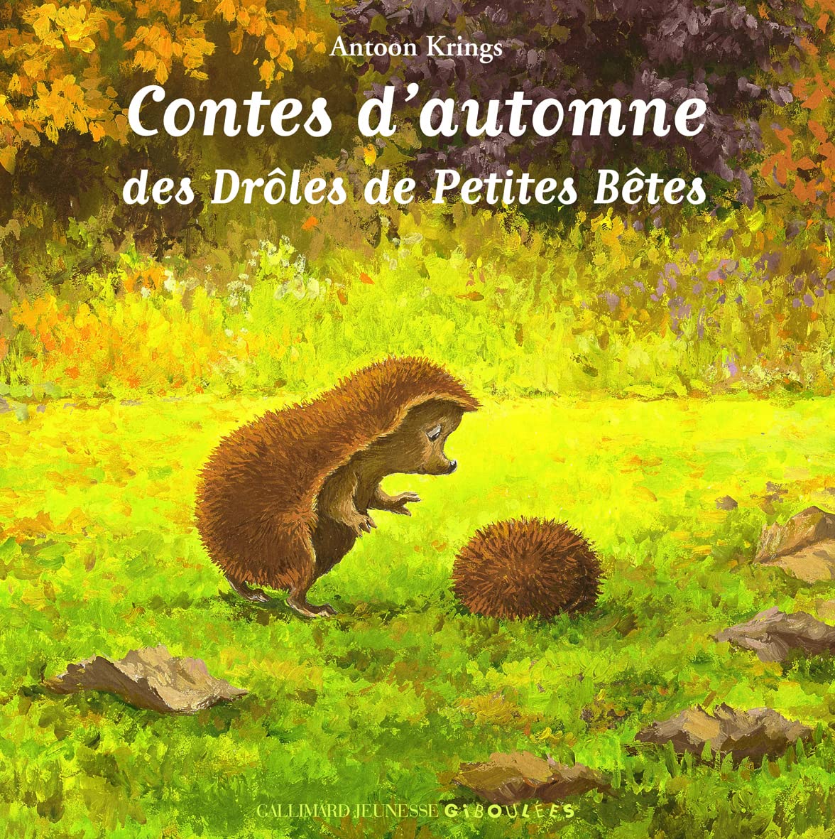 Contes d'automne des Drôles de Petites Bêtes 9782070642120