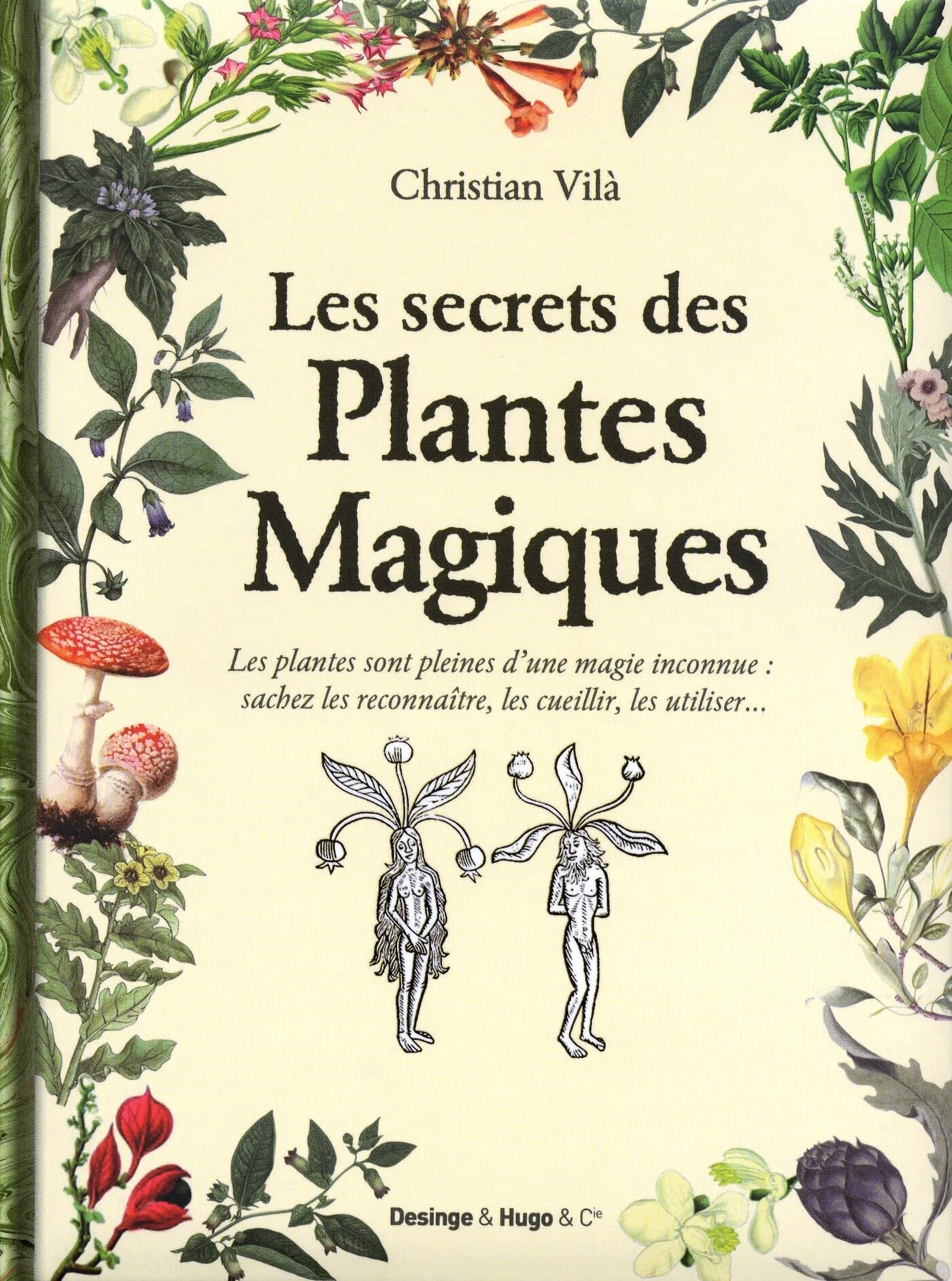 Les secrets des plantes magiques 9782755606157