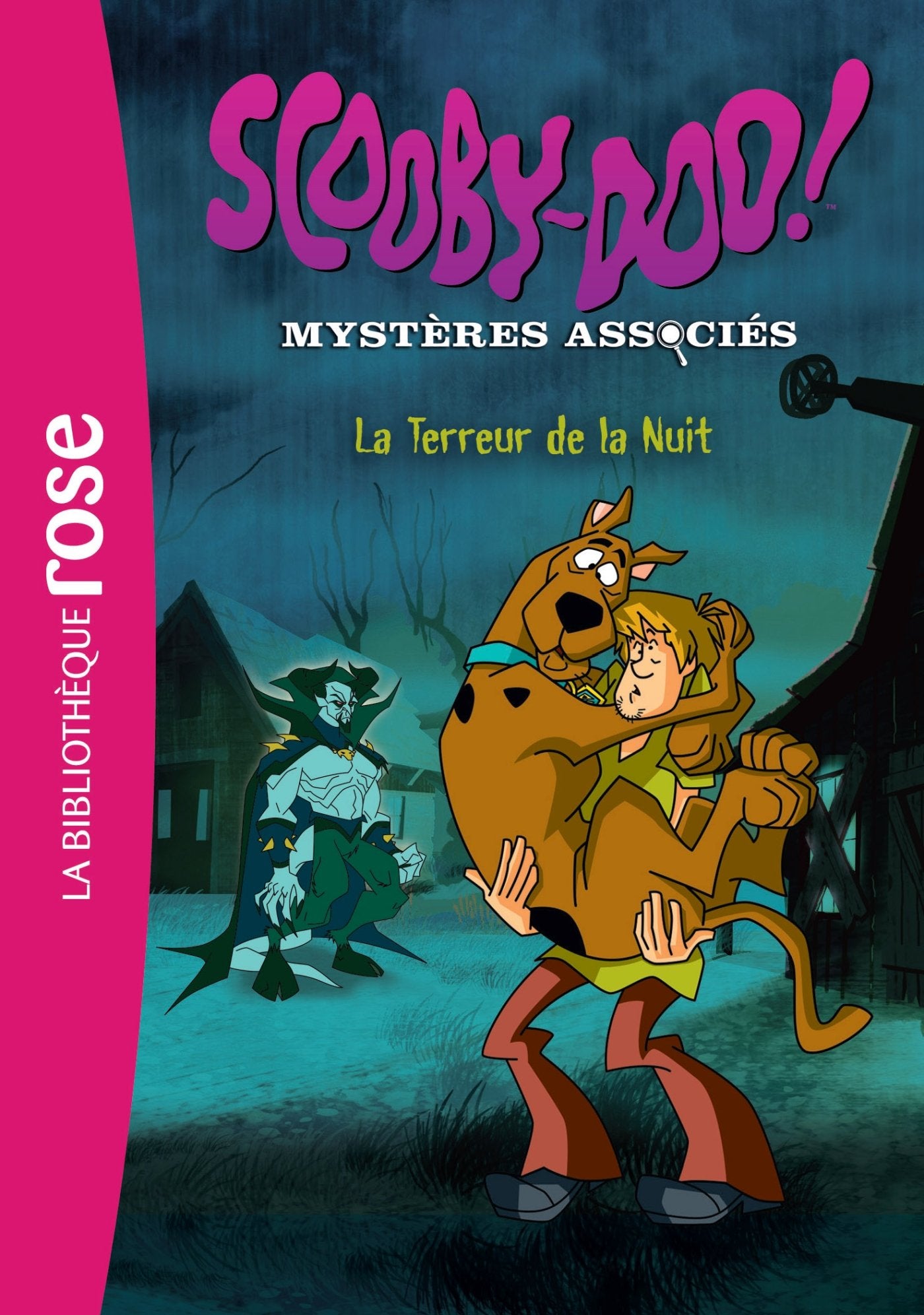 Scooby-Doo 06 - La Terreur de la Nuit 9782012526624