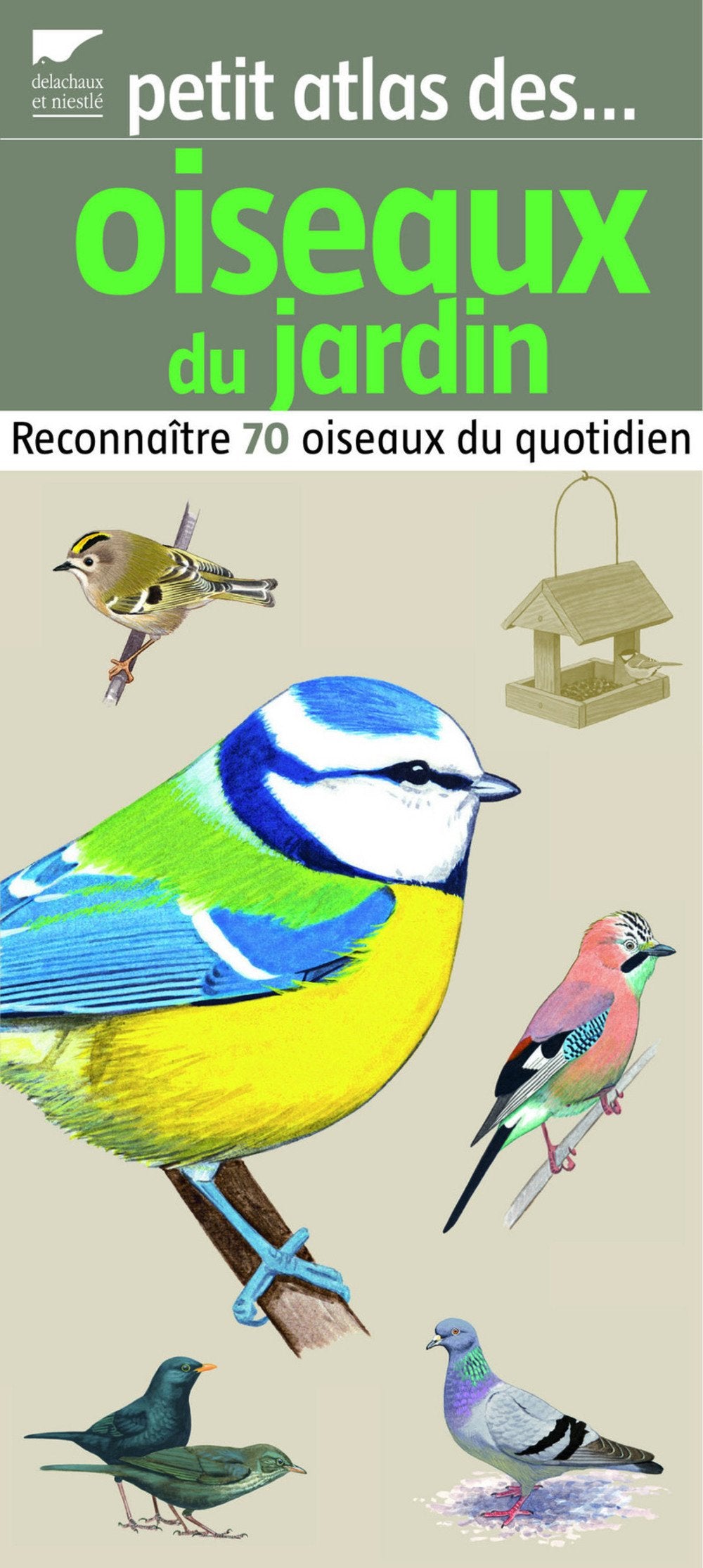 Petit atlas des oiseaux du jardin: Reconnaître 70 oiseaux du quotidien 9782603017586