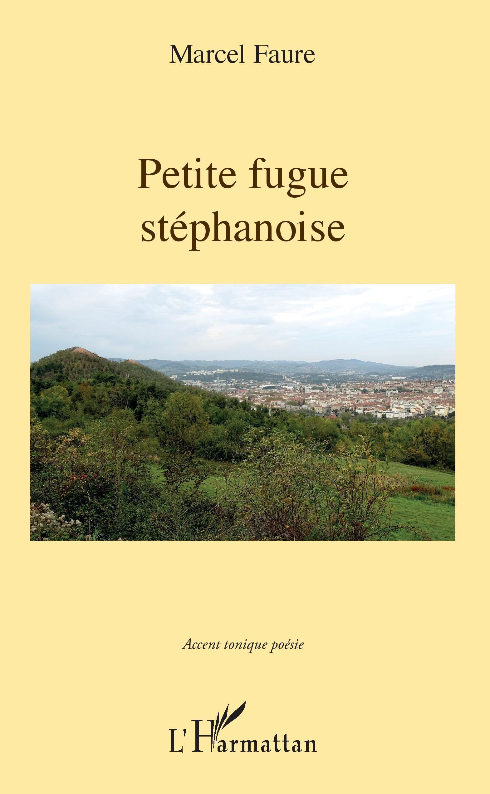Petite fugue stéphanoise 9782343188324