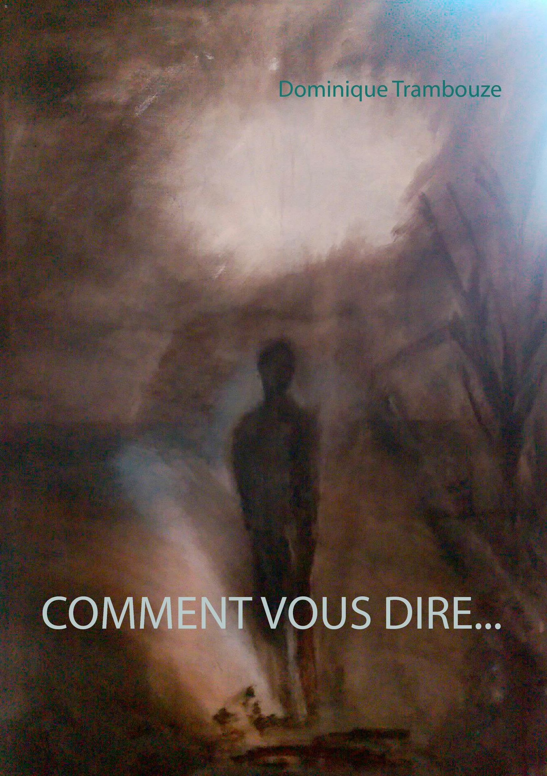 Comment vous dire... 9782810619849