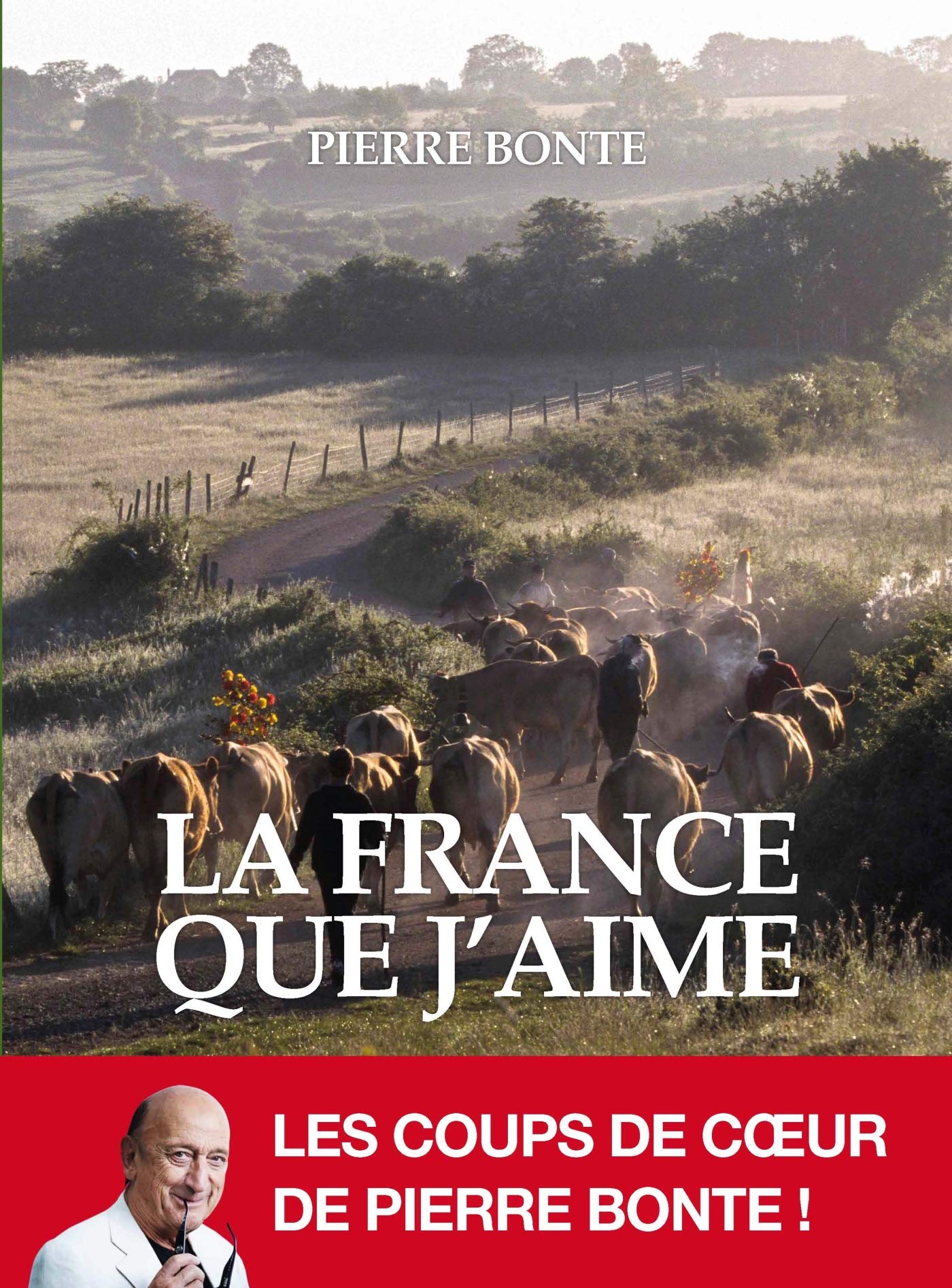 La France que j'aime -illustré- 9782226208170