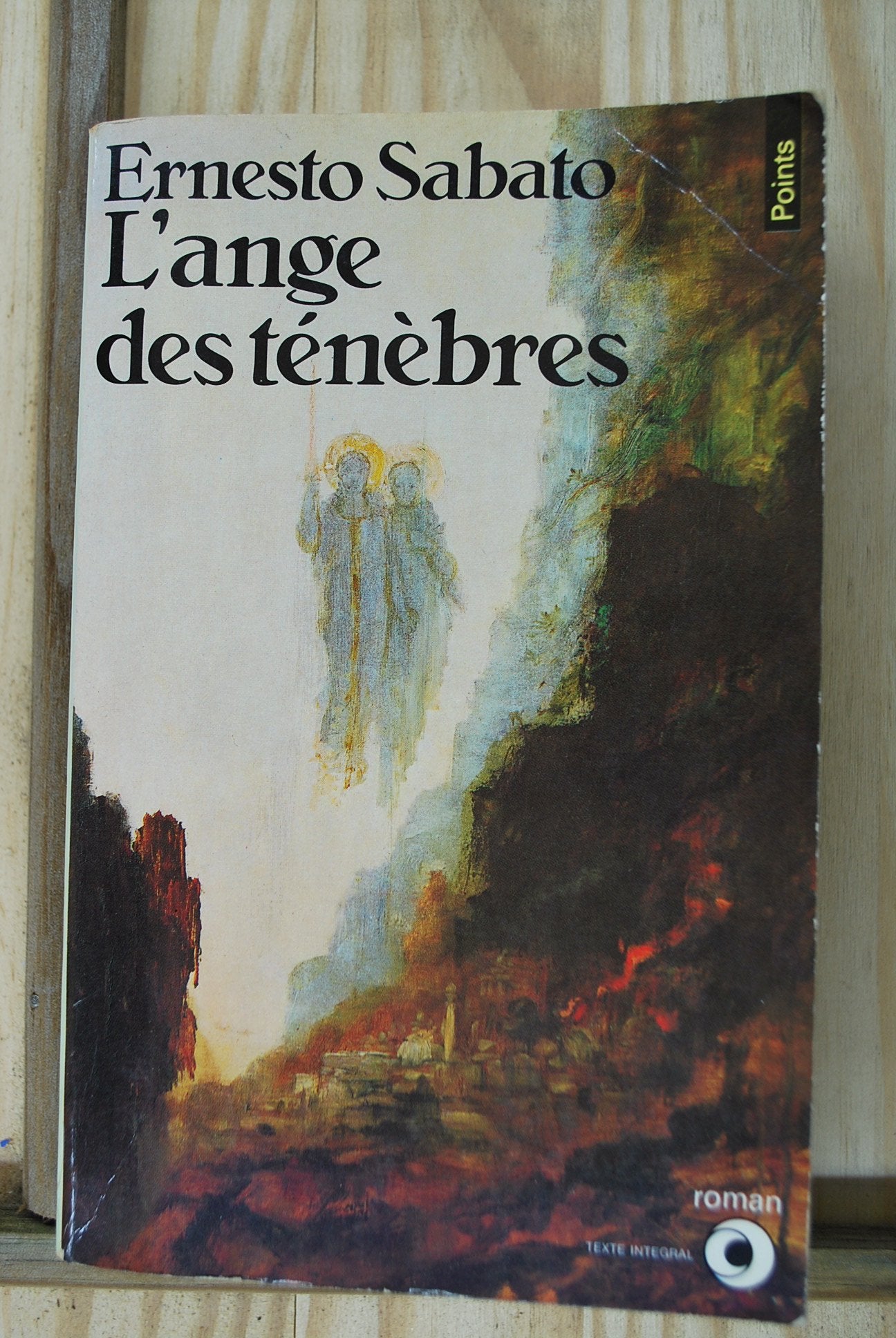 L'Ange des ténèbres 9782020065924