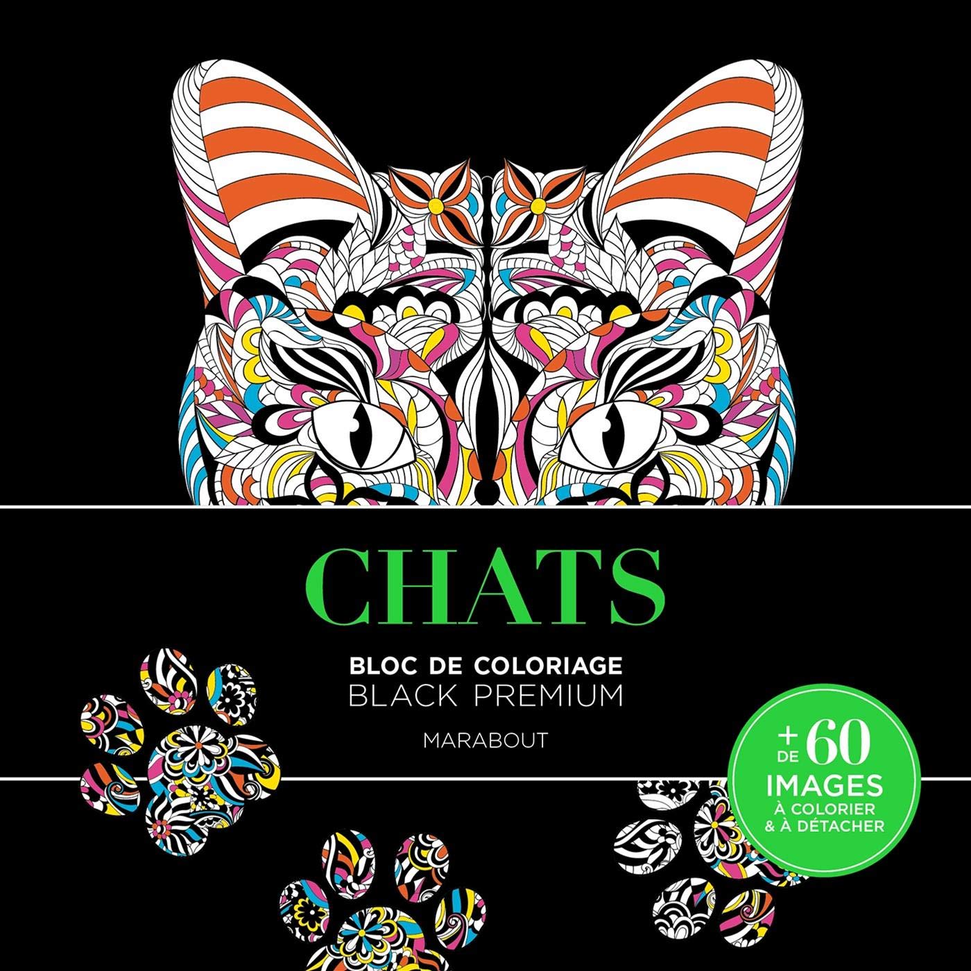 Carnet Black Premium Chats 9782501148375