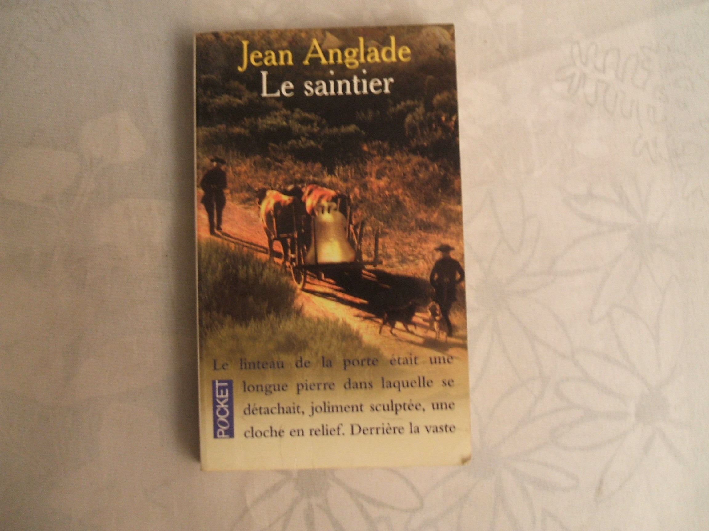 Le saintier 9782266085939