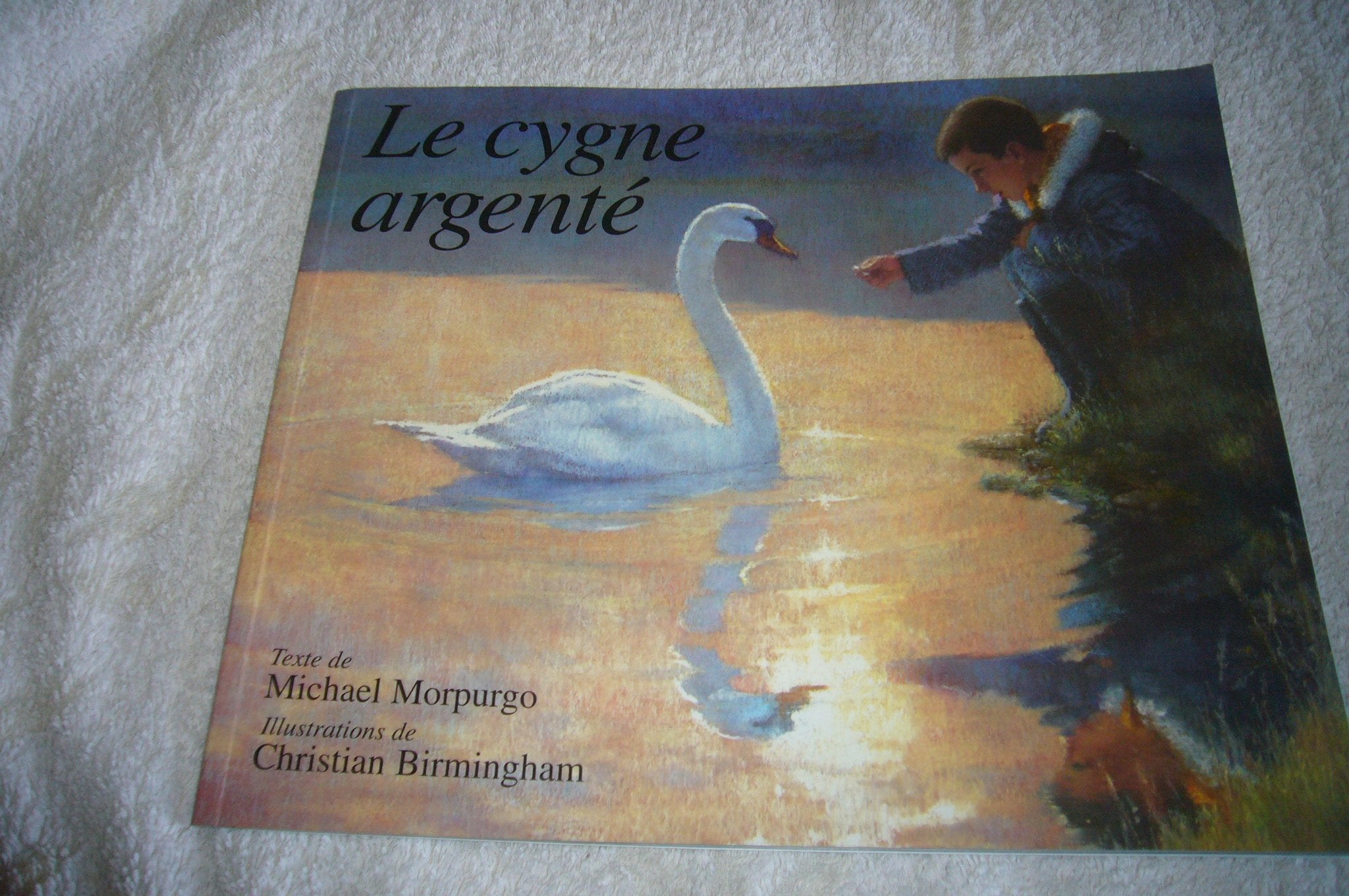 Le Cygne argenté 9782211070300