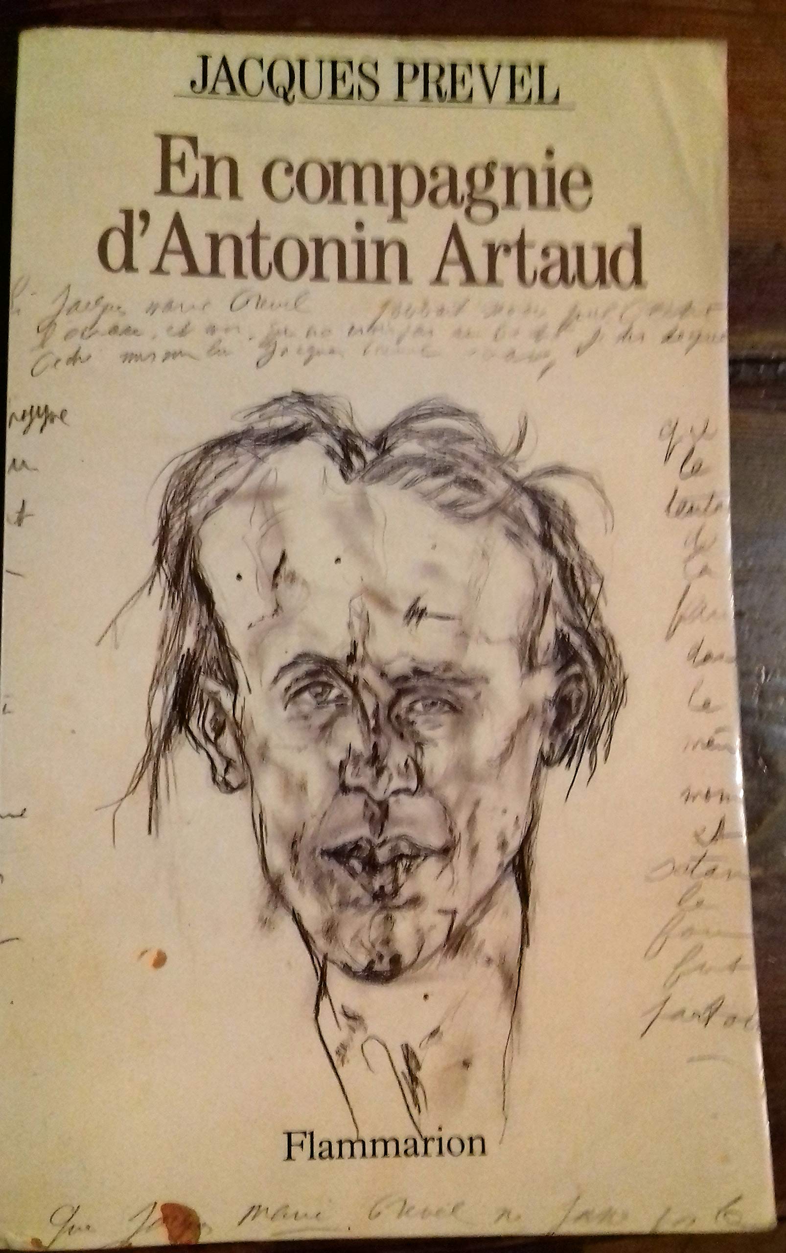 En compagnie d'Antonin Artaud. suivi de Poèmes 9782080670175