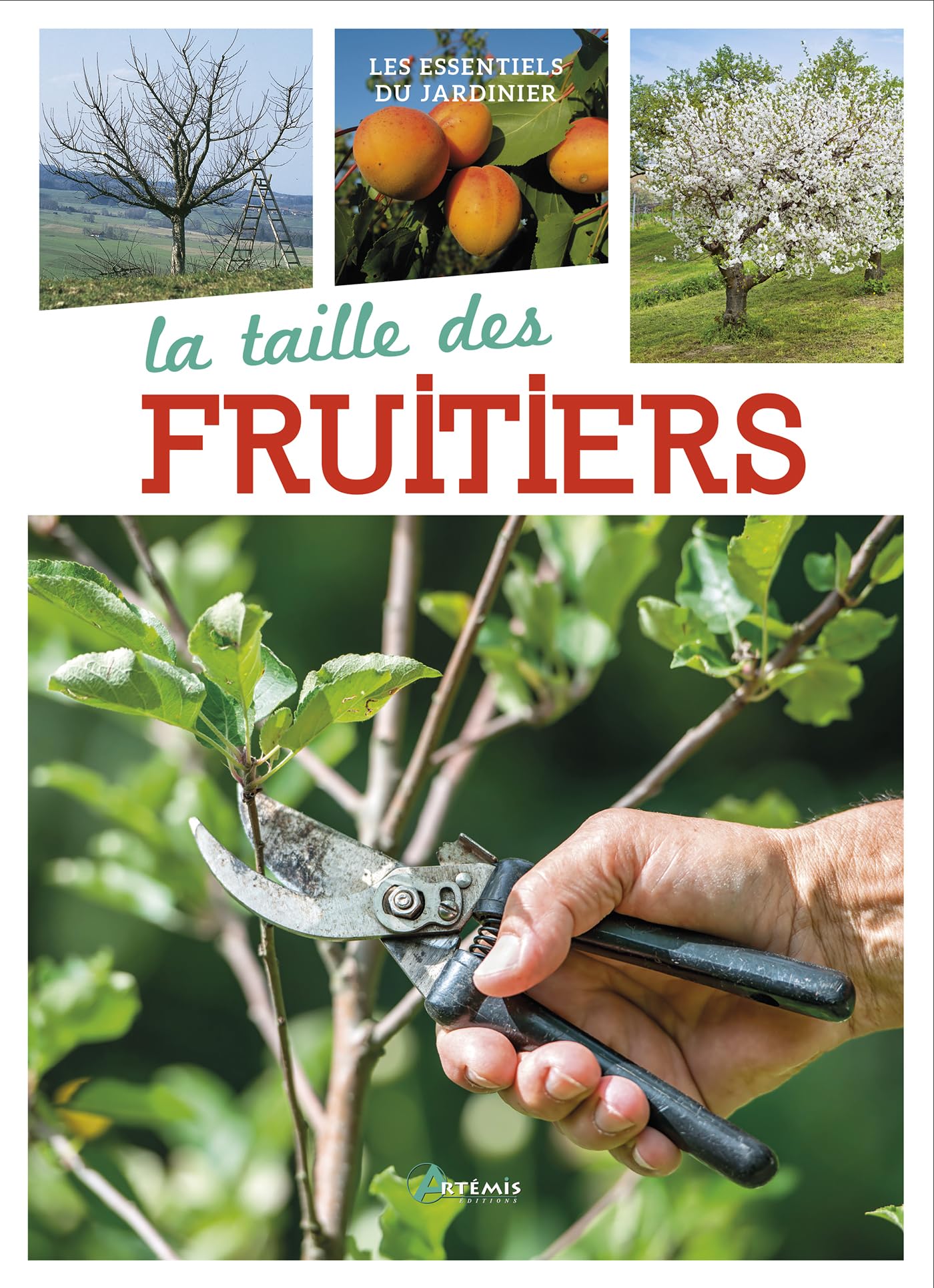 La taille des fruitiers 9782816010640