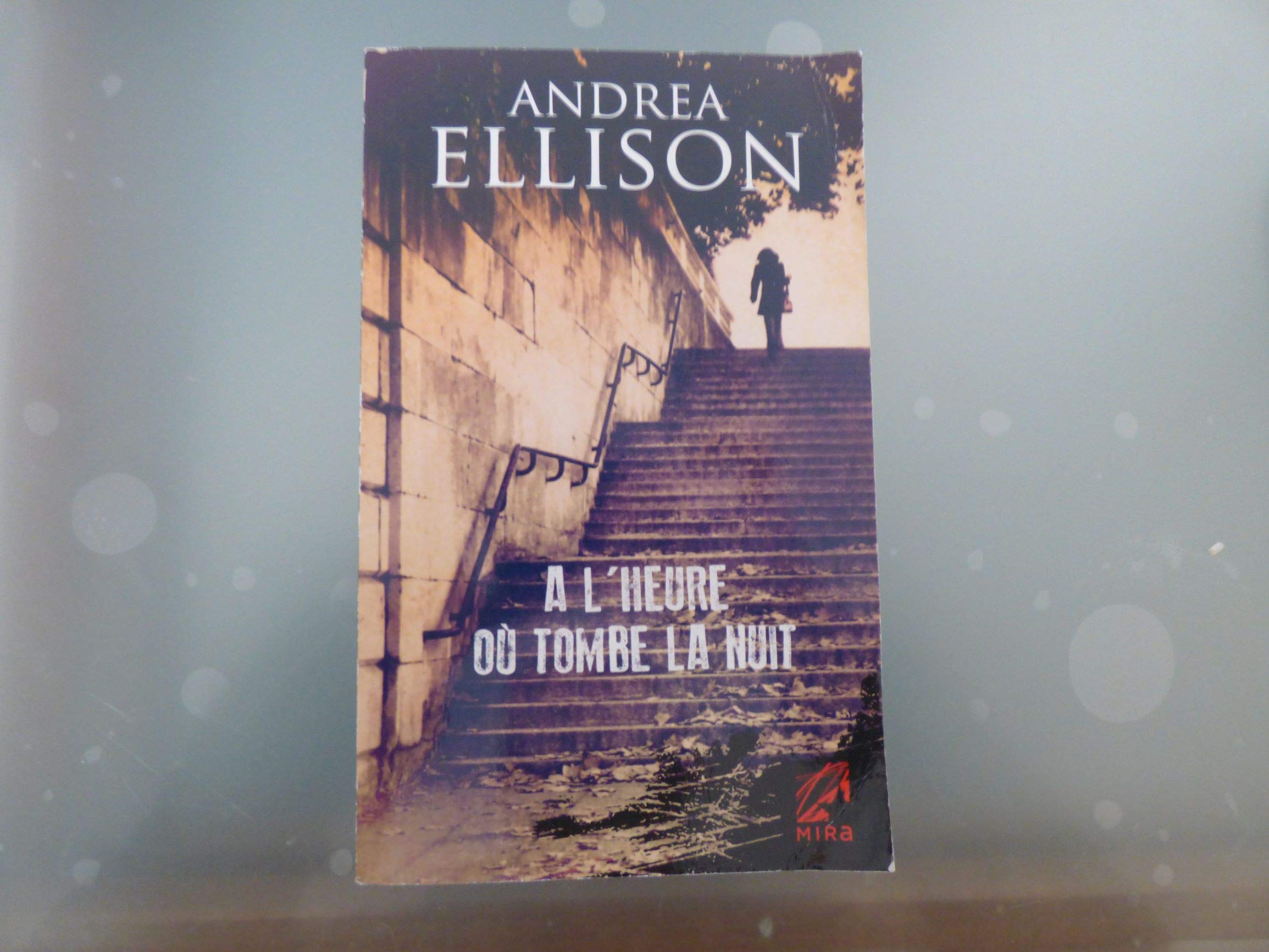 A l'heure où tombe la nuit 9782280248143