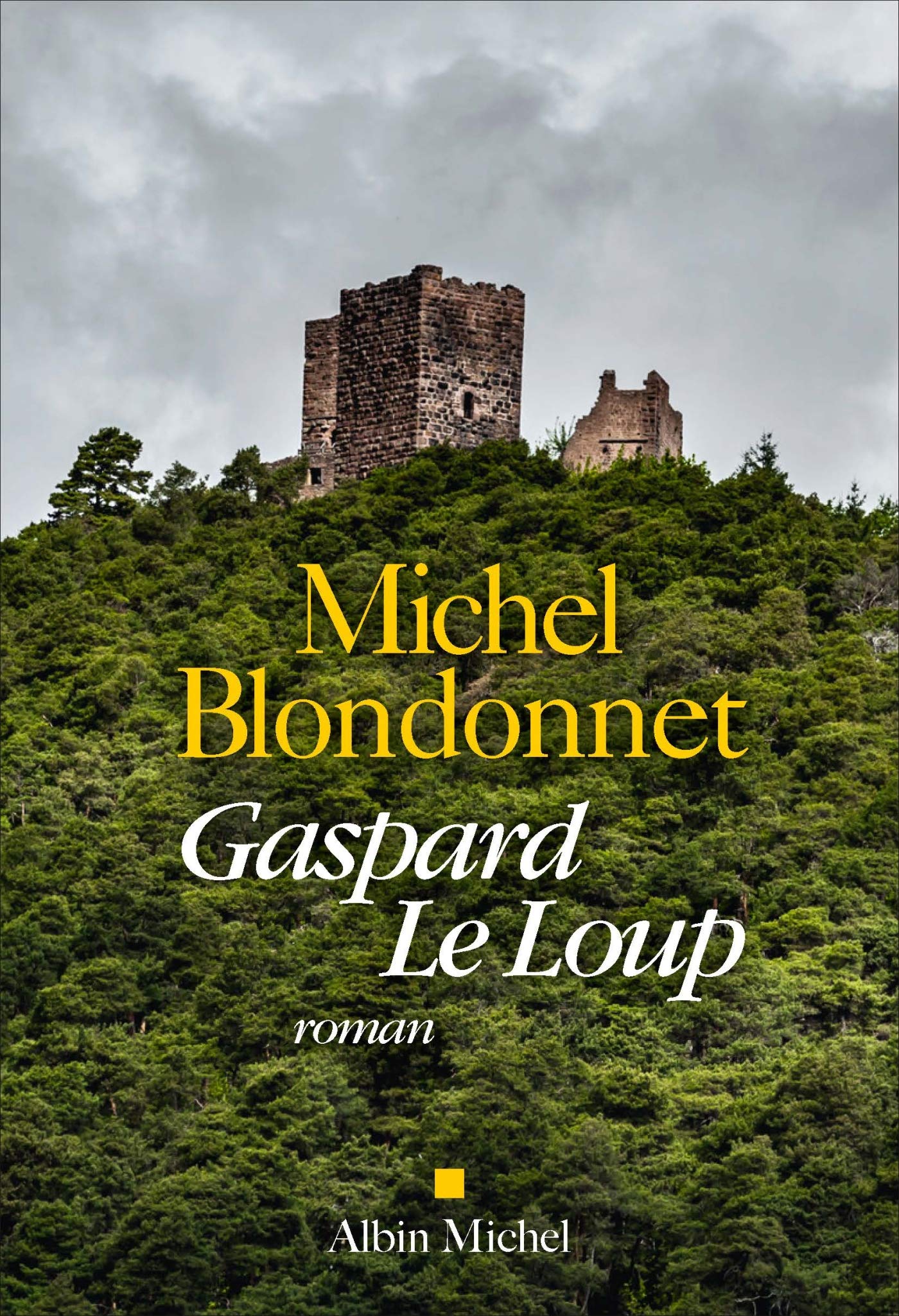 Gaspard Le Loup 9782226402974