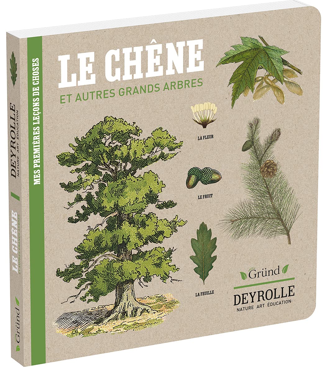 Deyrolle : Le Chêne et autres grands arbres – Album documentaire Jeunesse – À partir de 3 ans 9782324029035