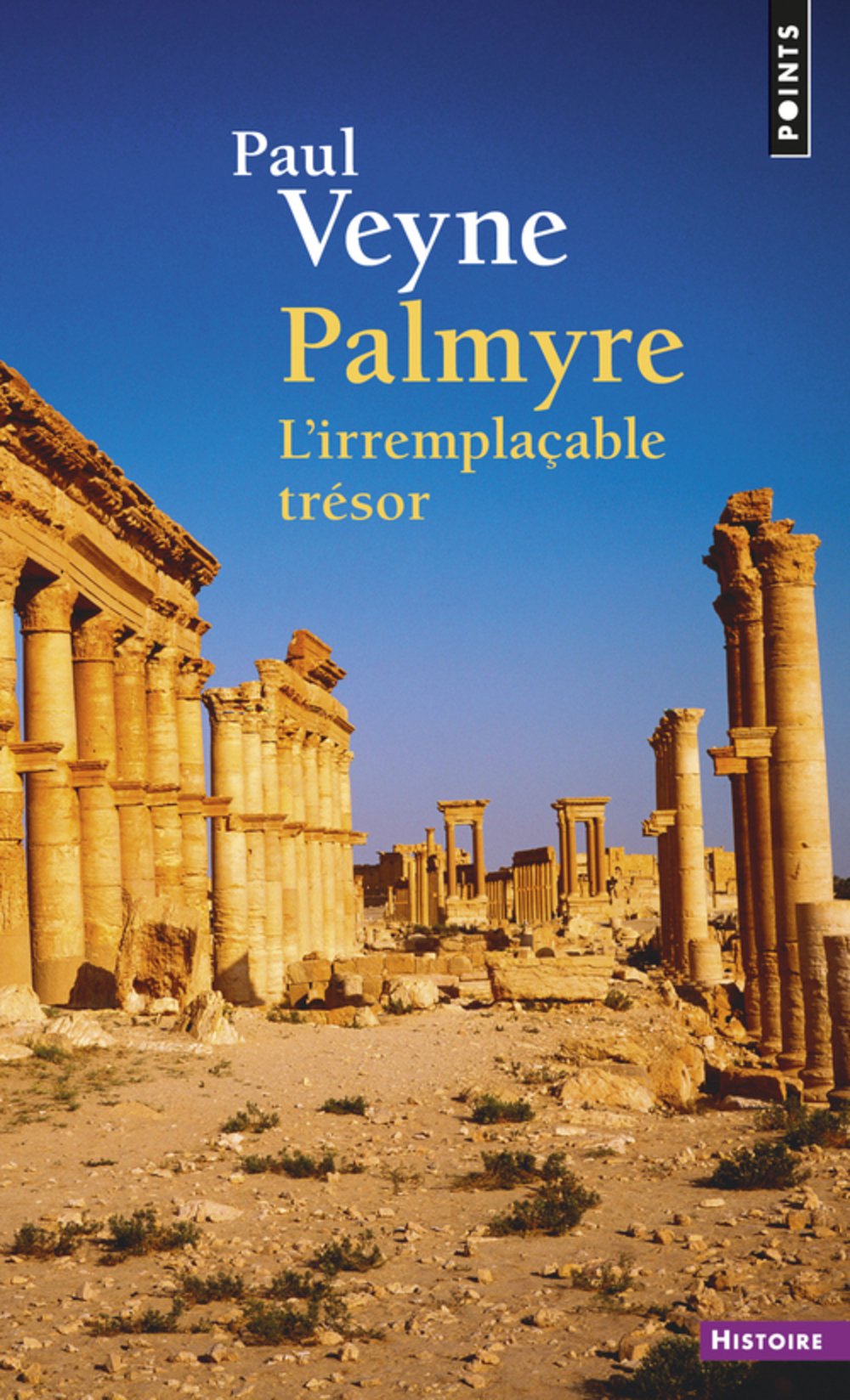 Palmyre: L'irremplaçable trésor 9782757861912