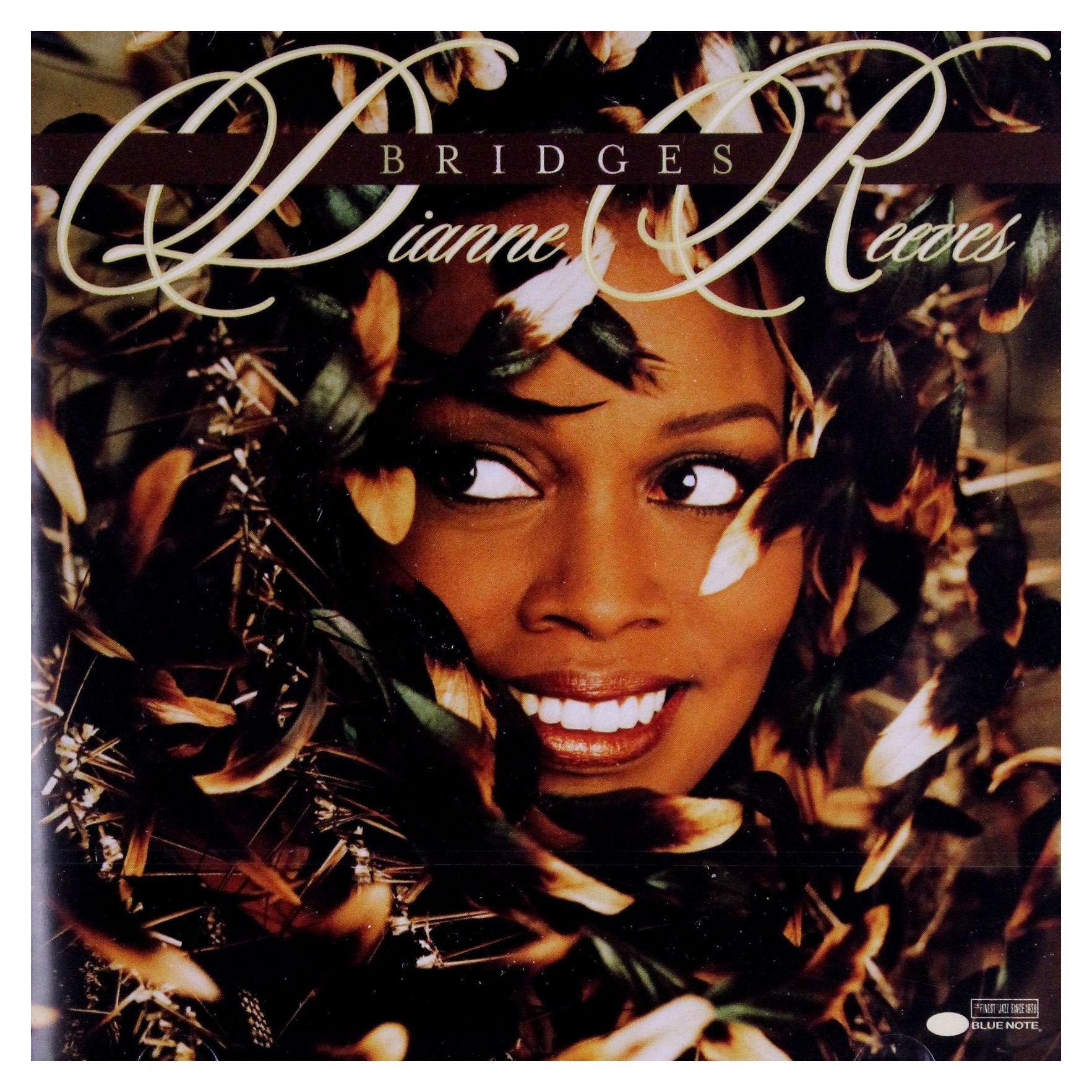 Bridges 0724383306022