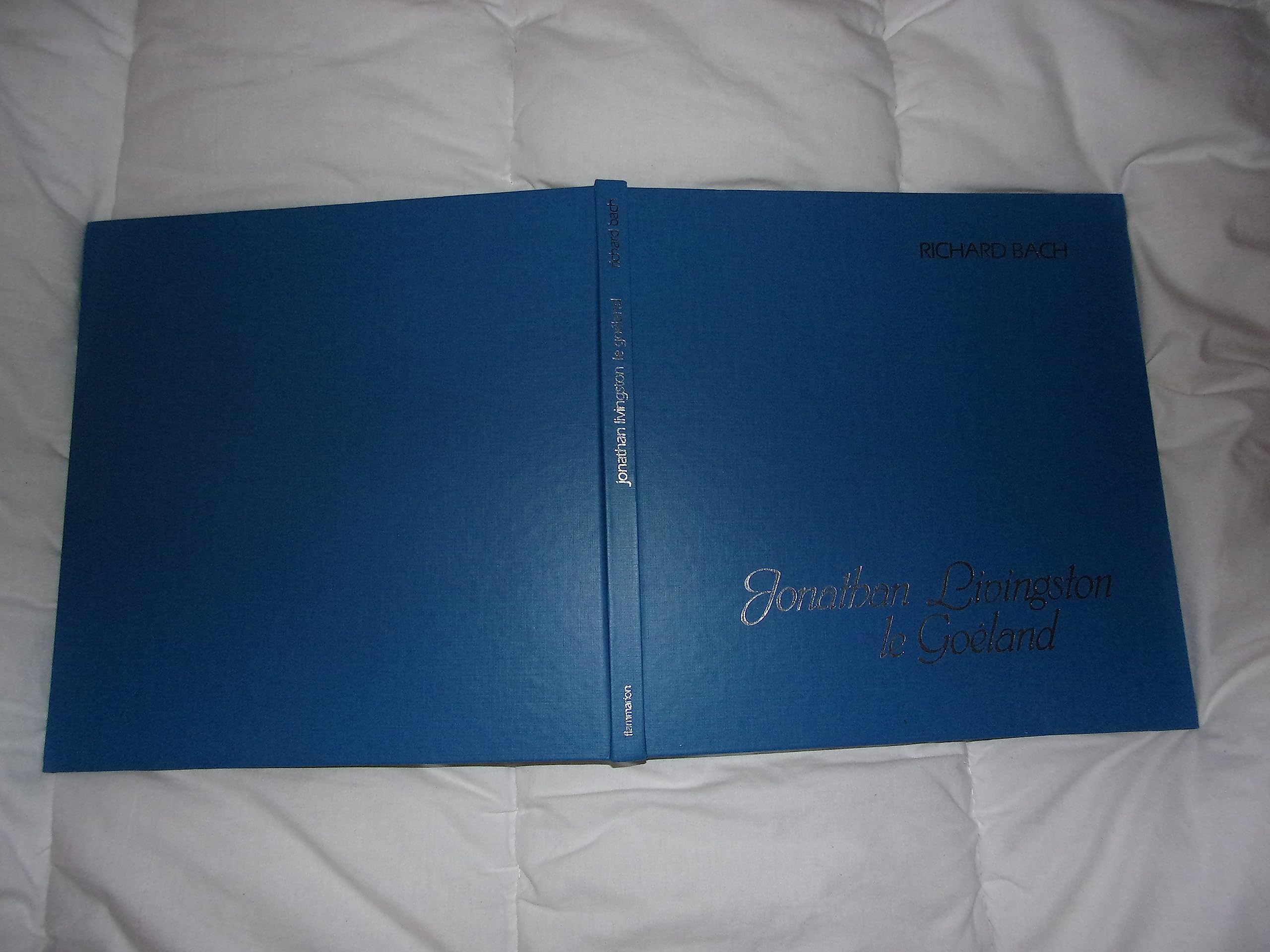 Jonathan Livingston le goéland 9782080109859