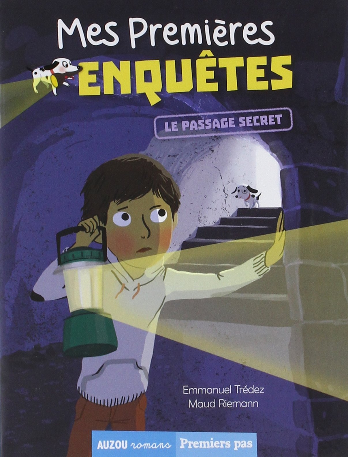 Mes premières enquêtes. Tome 6, le passage secret 9782733850916