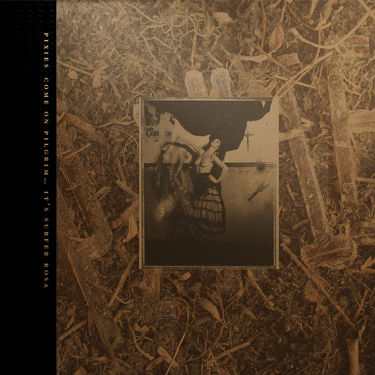 Come on Pilgrim... It'S Surfer Rosa 9786317458994