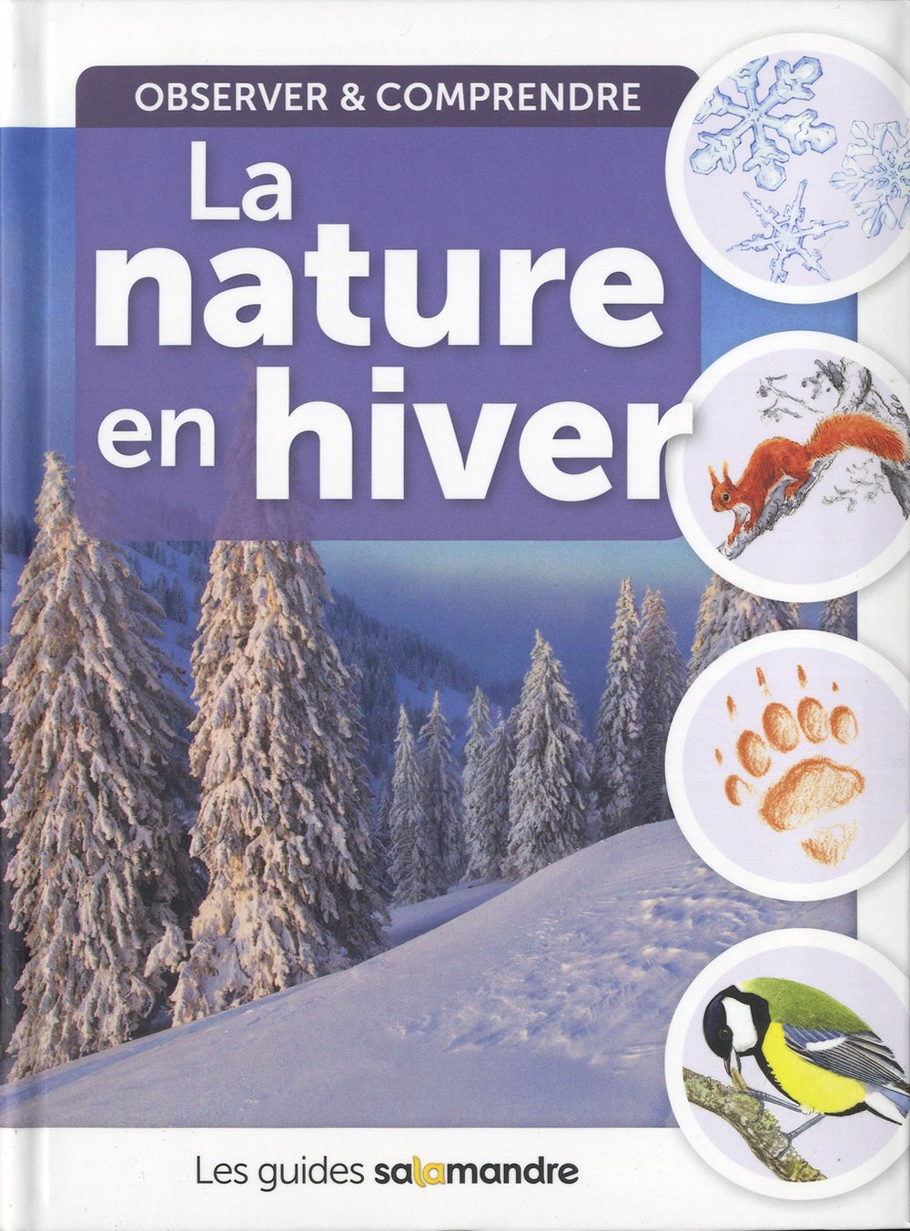 La Nature en hiver 9782361540807