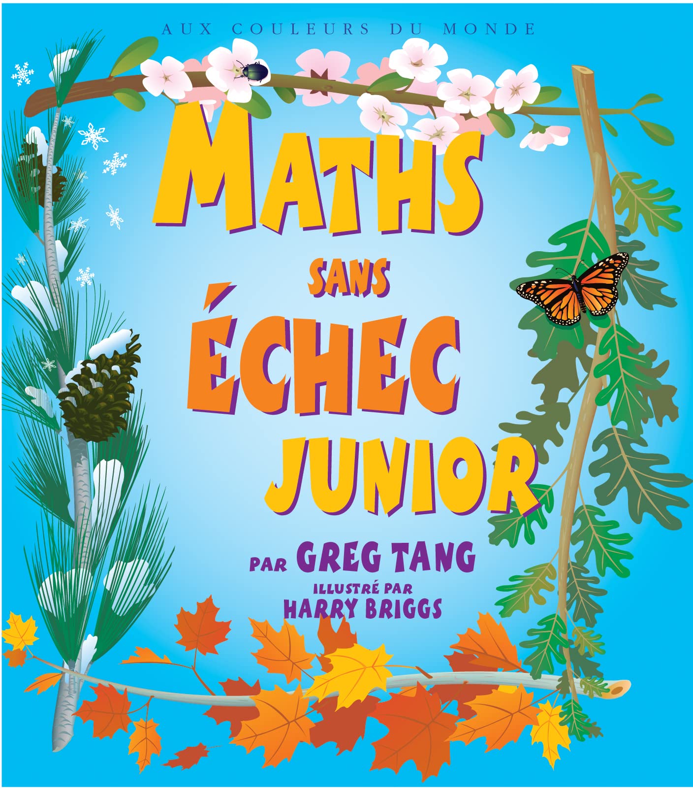 Maths sans échec junior 9782878333190