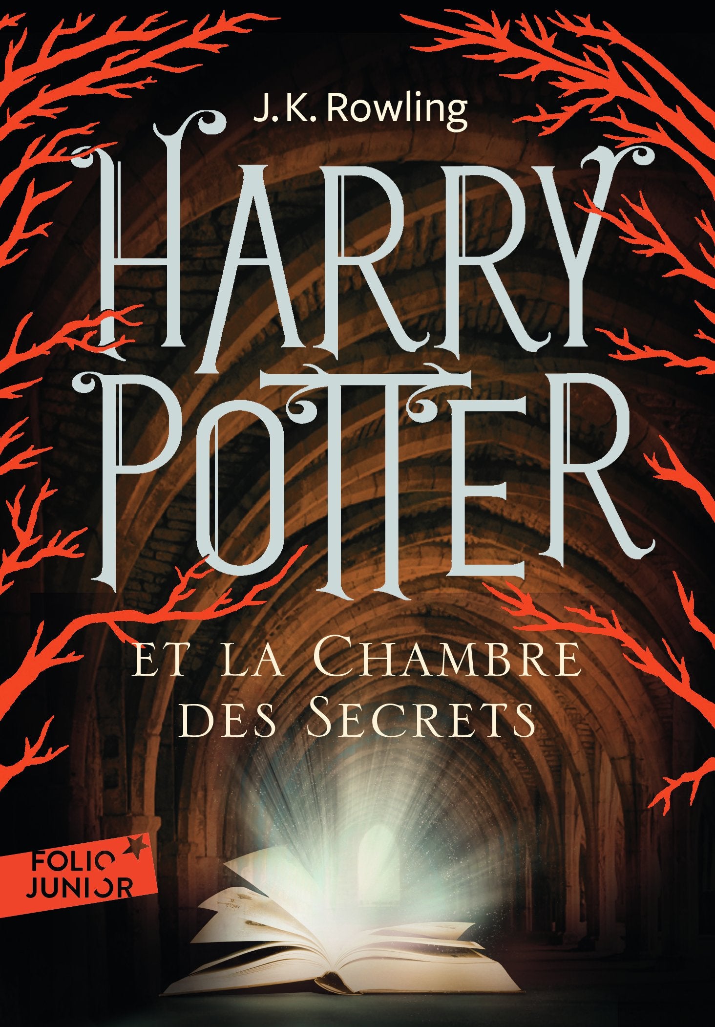 Harry Potter, II : Harry Potter et la Chambre des Secrets 9782070643035