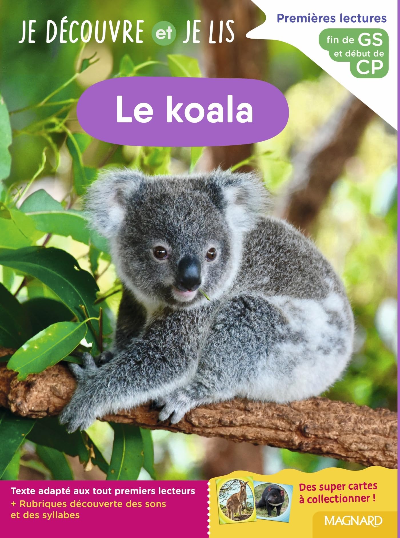 Je découvre et je lis GS et CP - Le koala: Fin de GS et début de CP 9782210785021